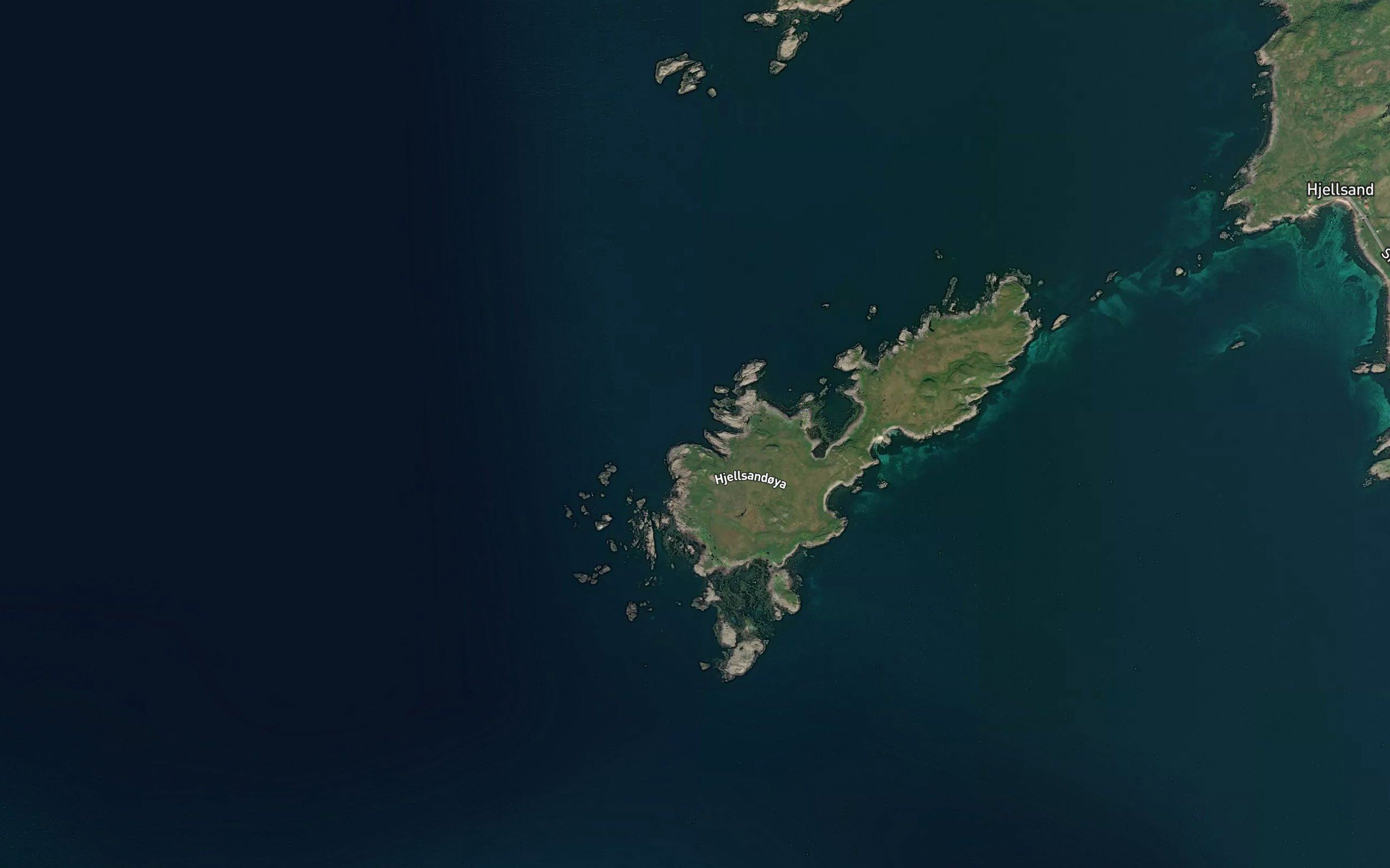 Bovika