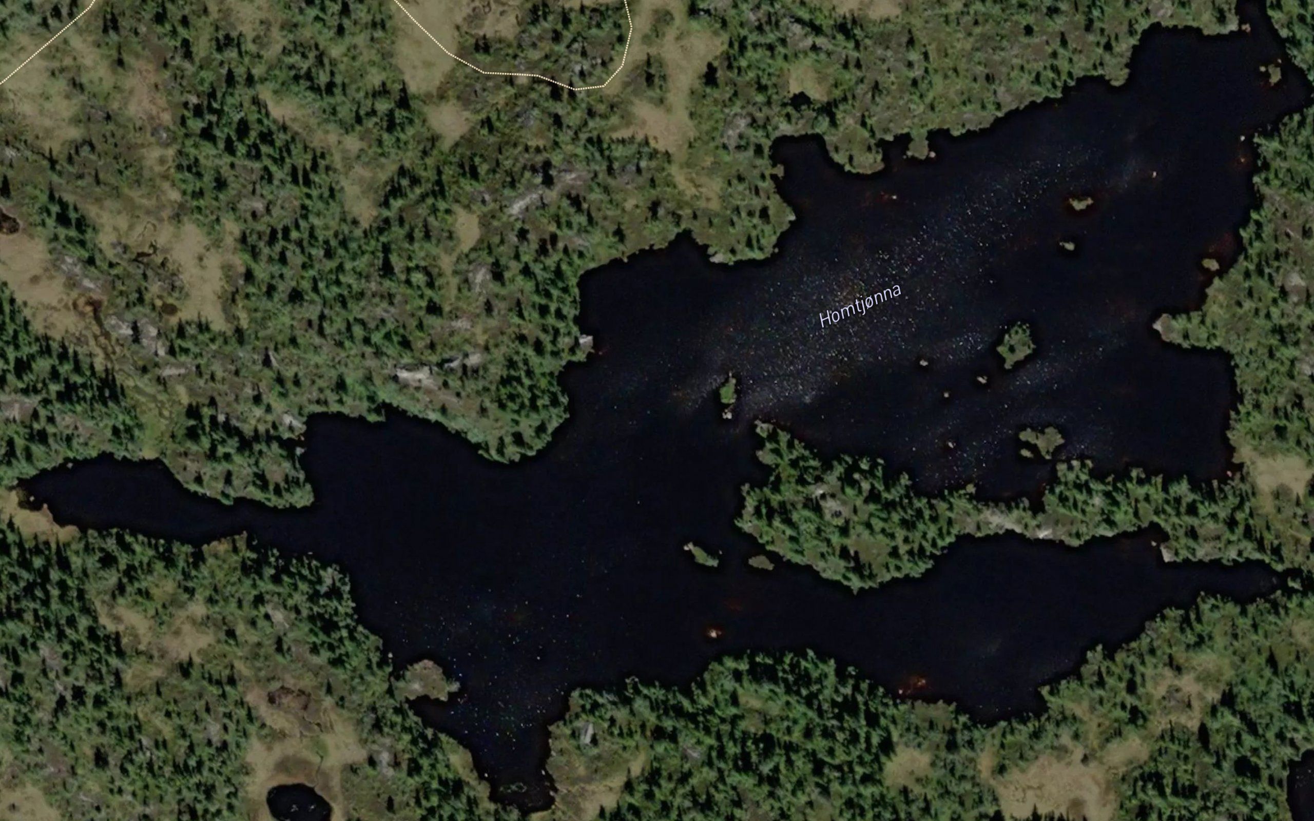 Homtjorn