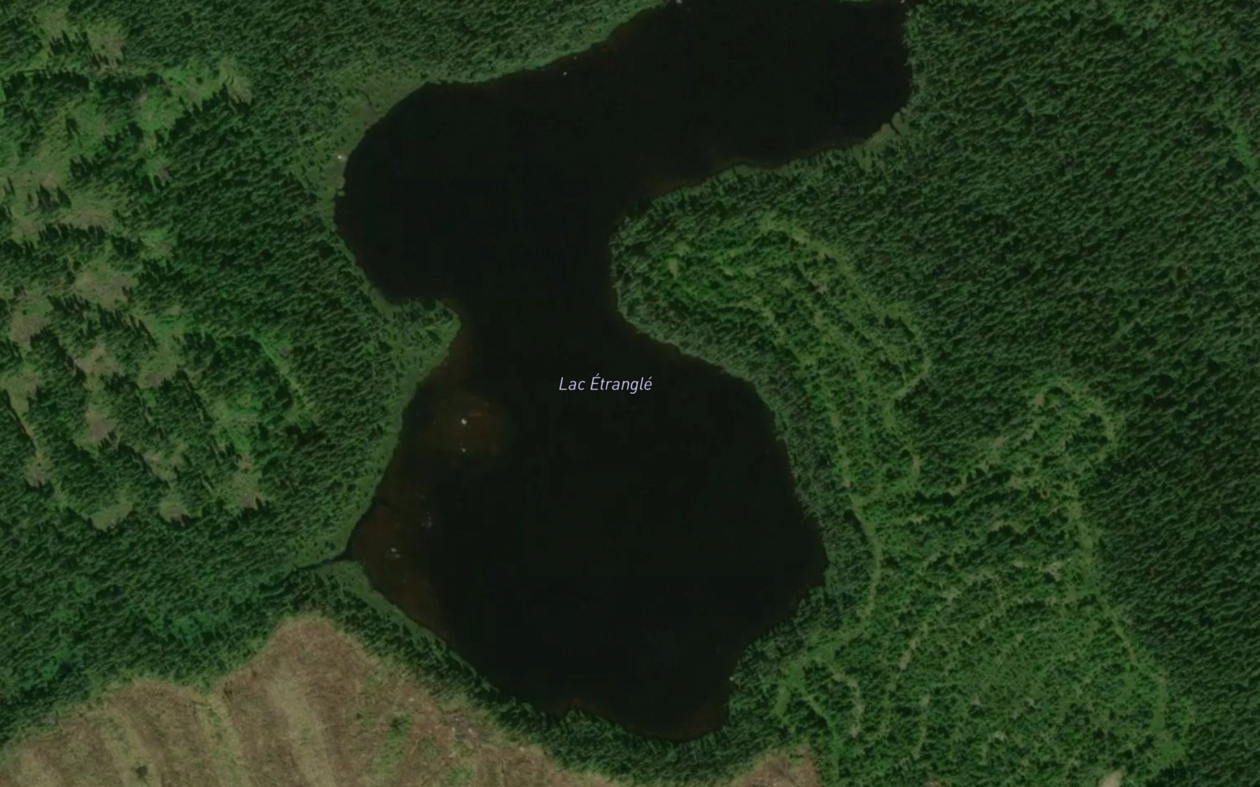 Satellite map of the Lac Etrangle