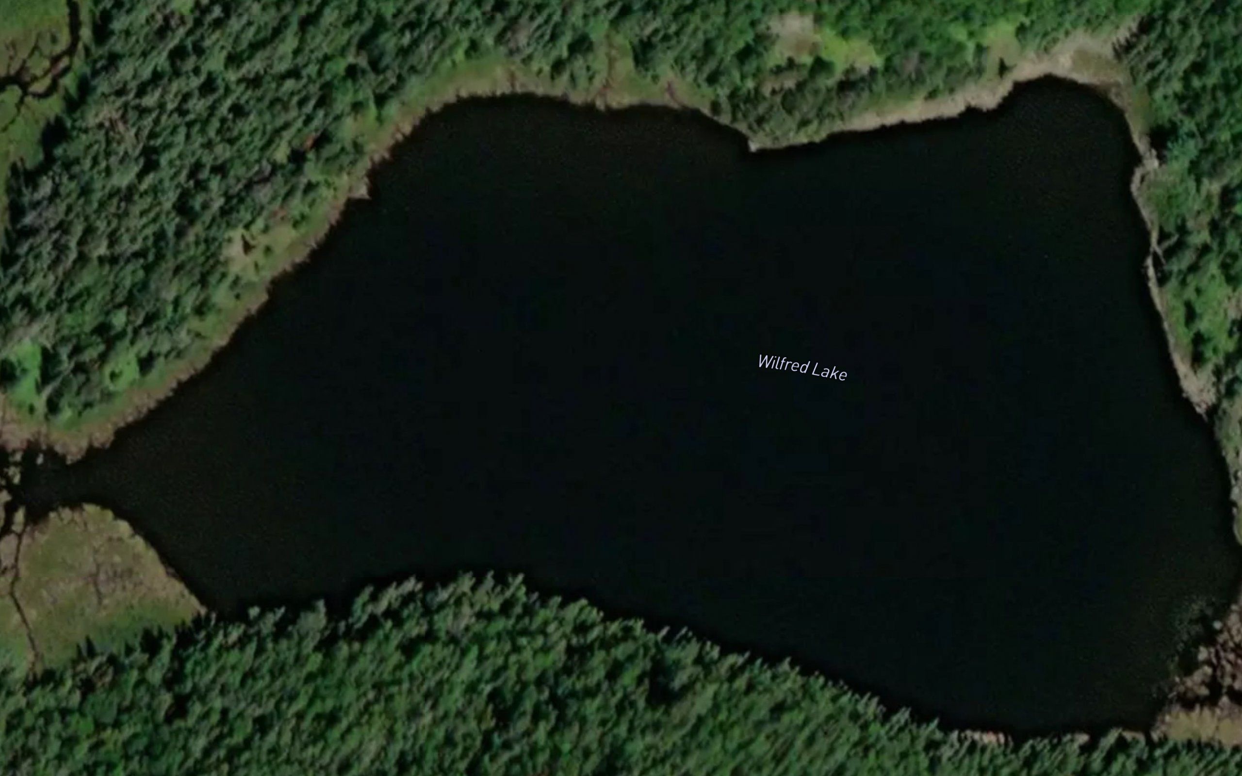 Wilfred Lake