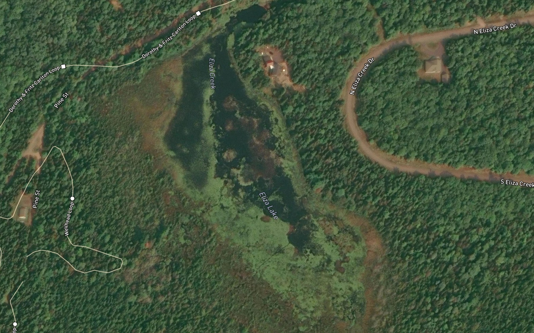 Satellite map of the Eliza Lake