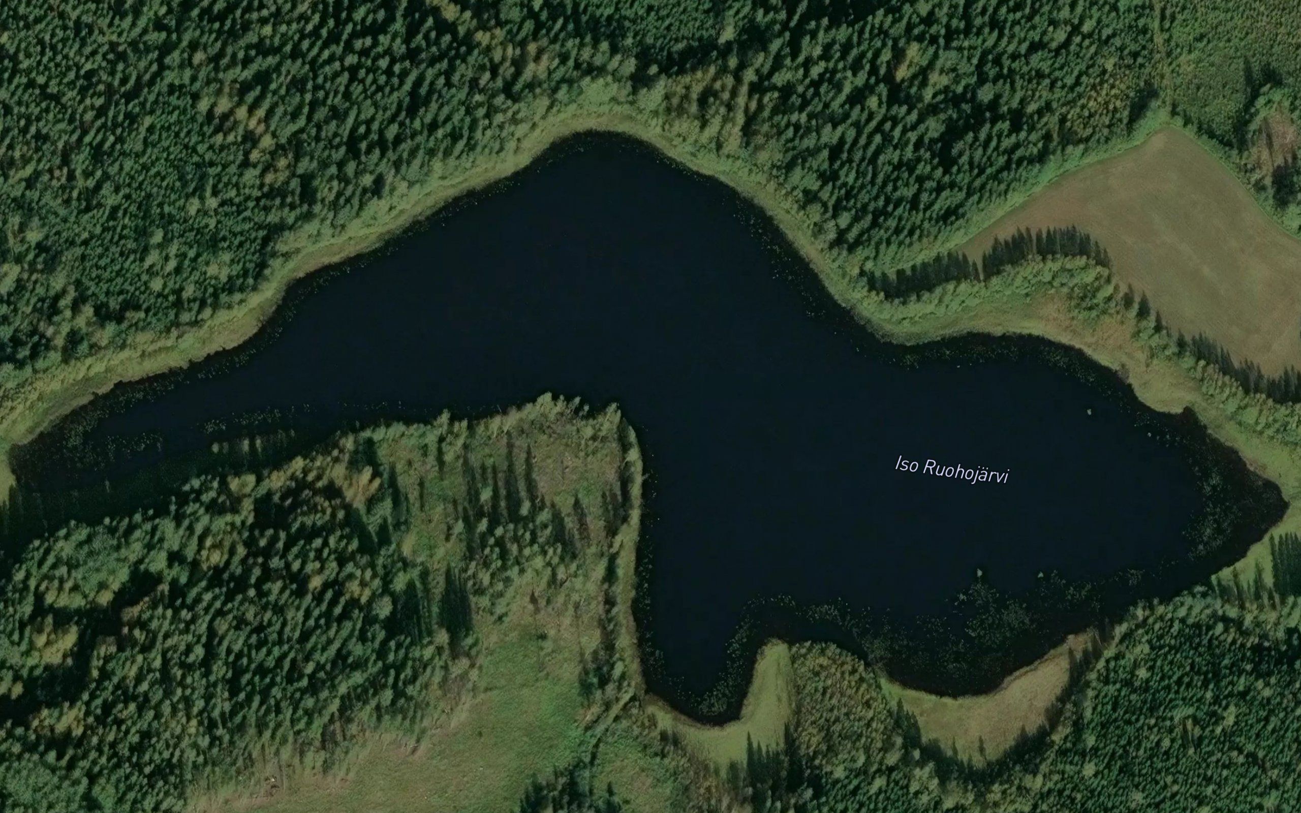Iso Ruohojarvi