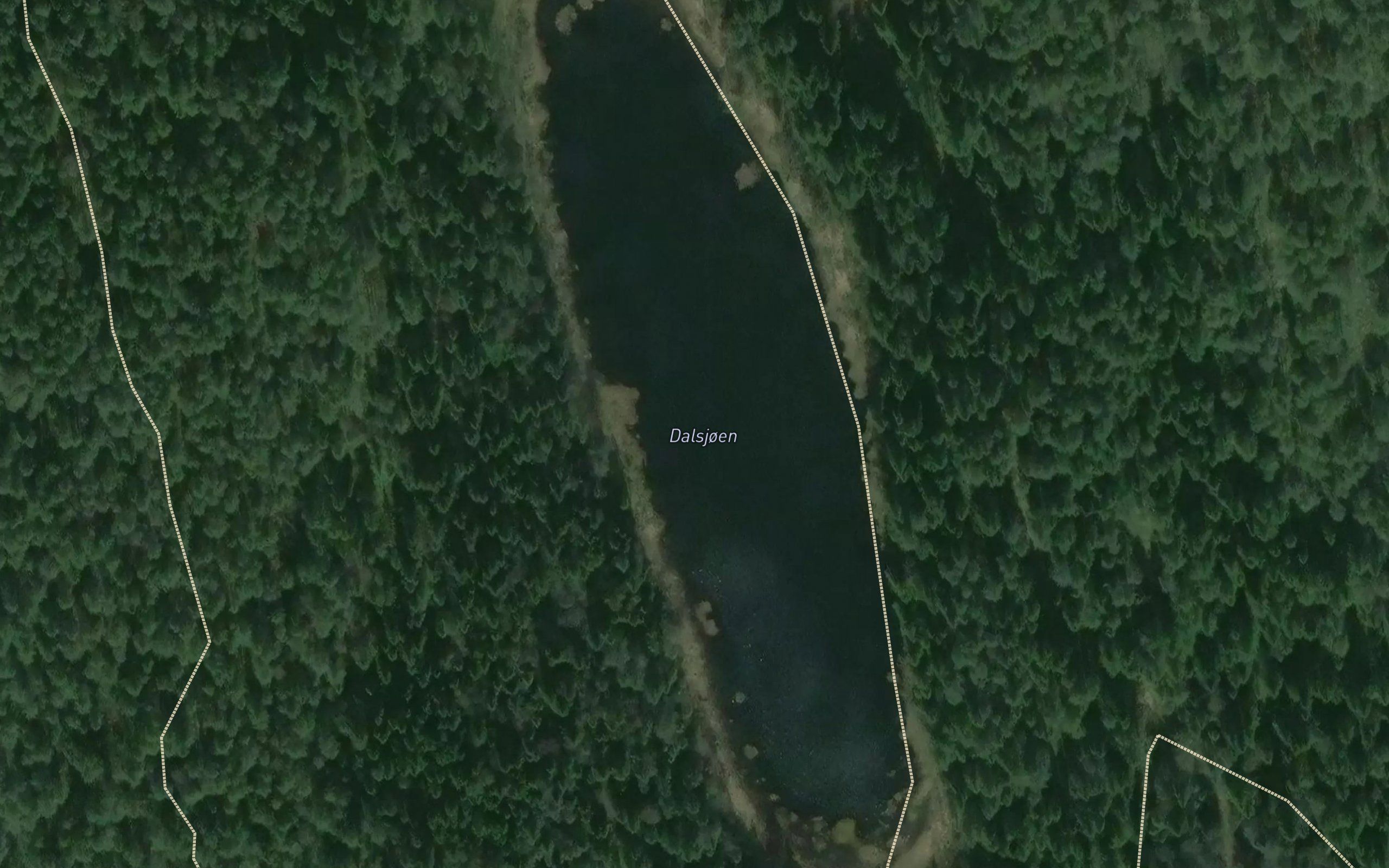 Dalsjoen
