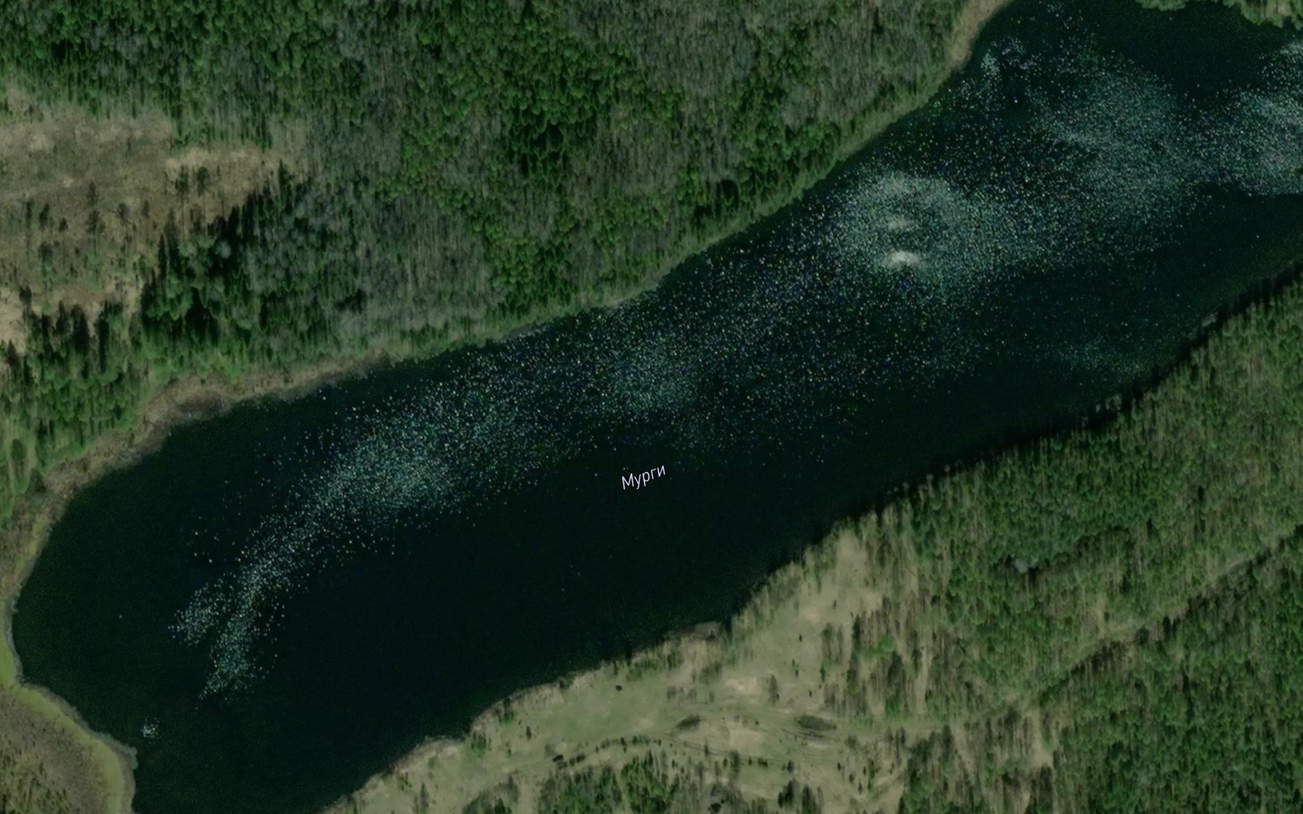 Ozero Murgozero