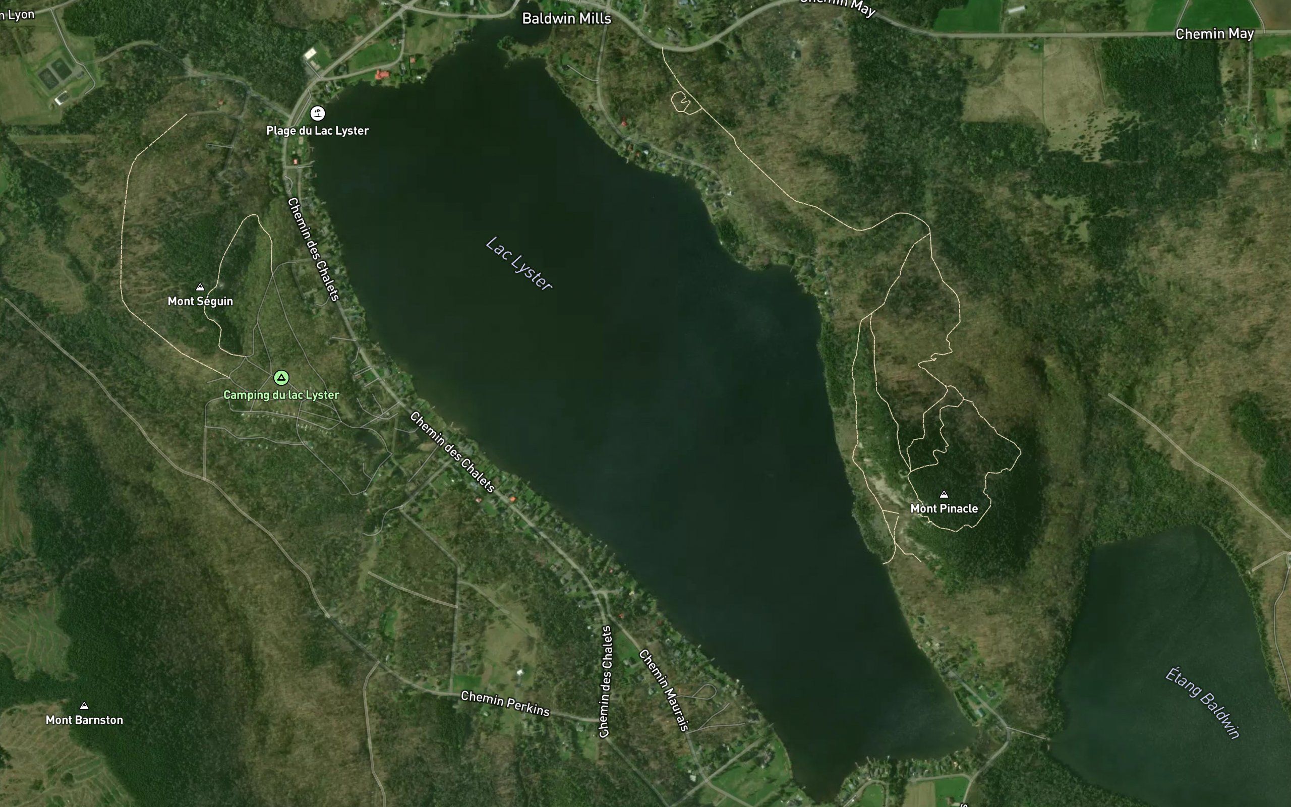 Lac Lyster