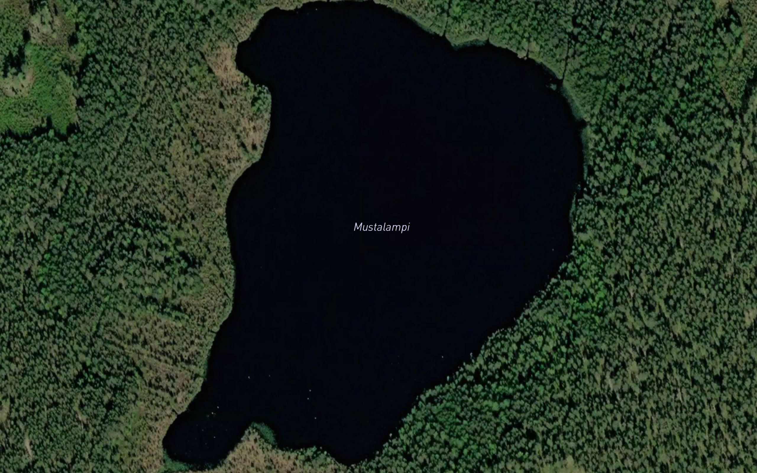 Mustalampi