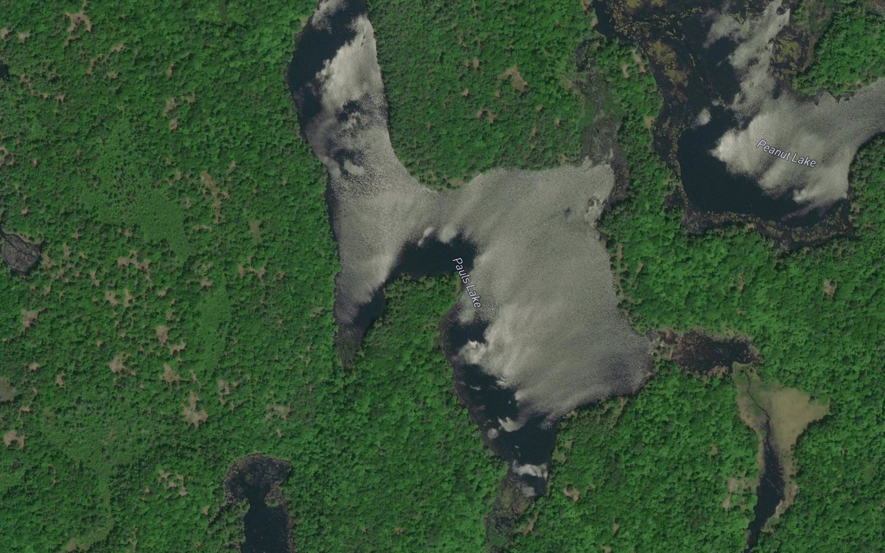 Satellite map of the Pauls Lake