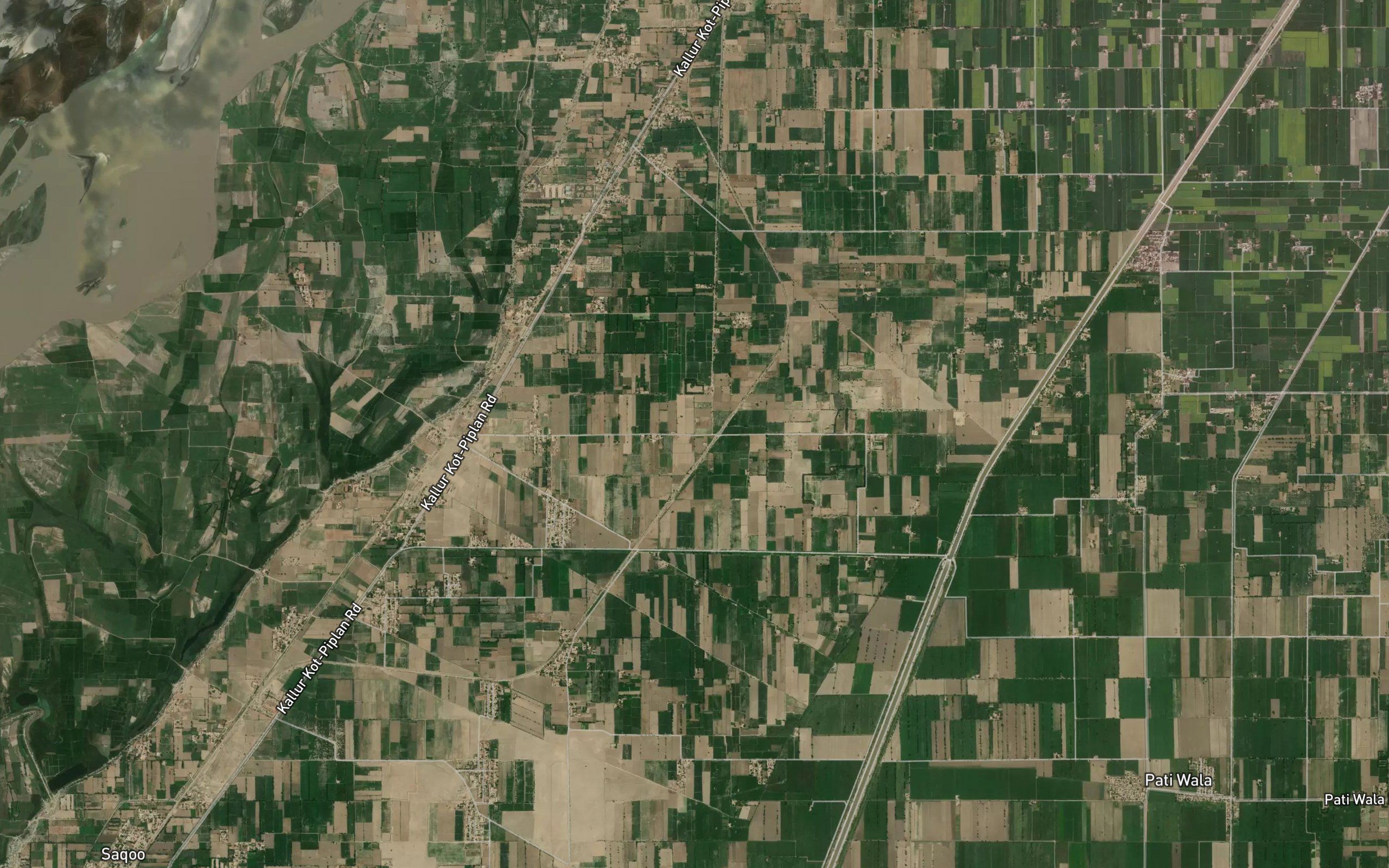 Piplan Distributary