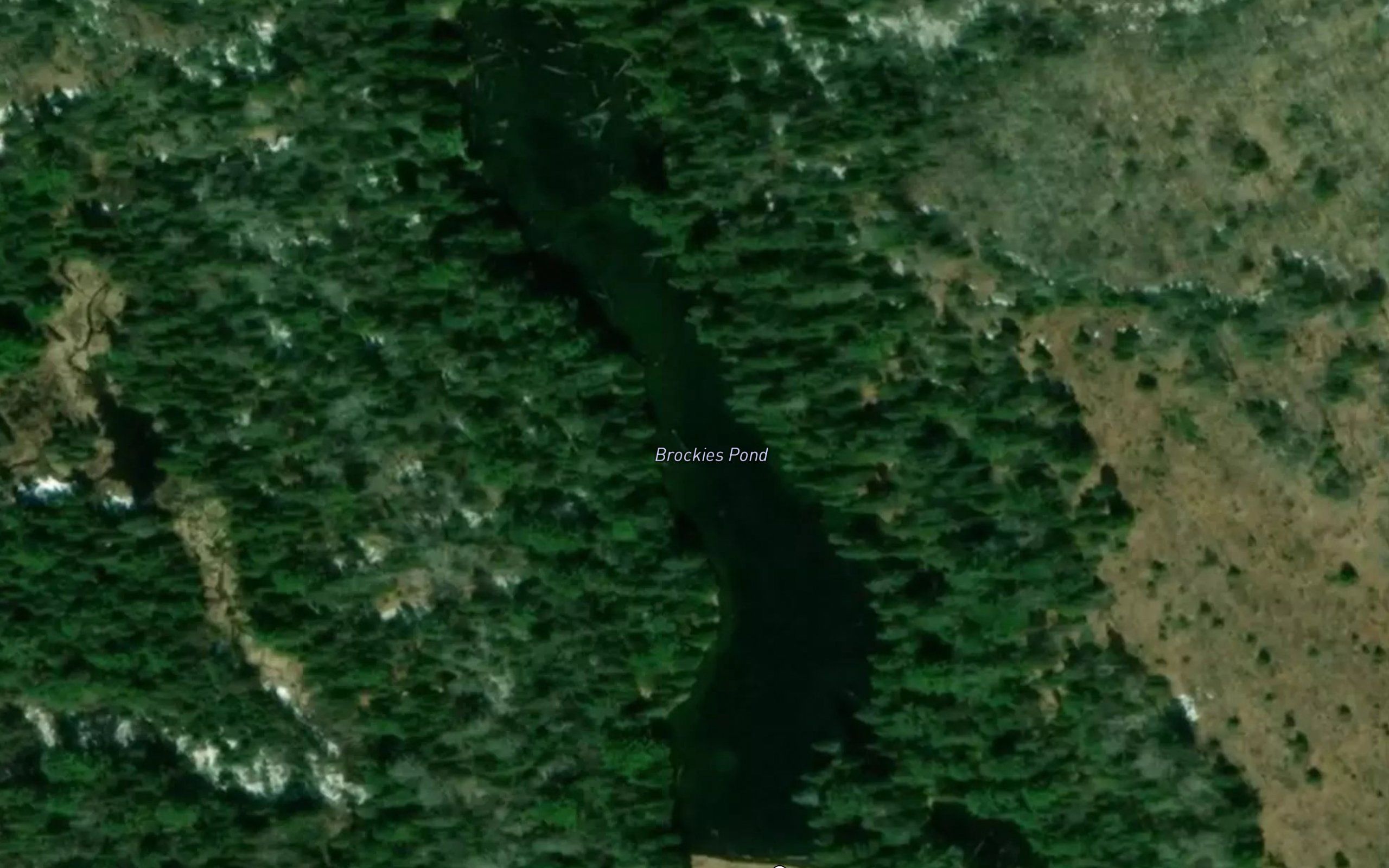 Brockies Pond