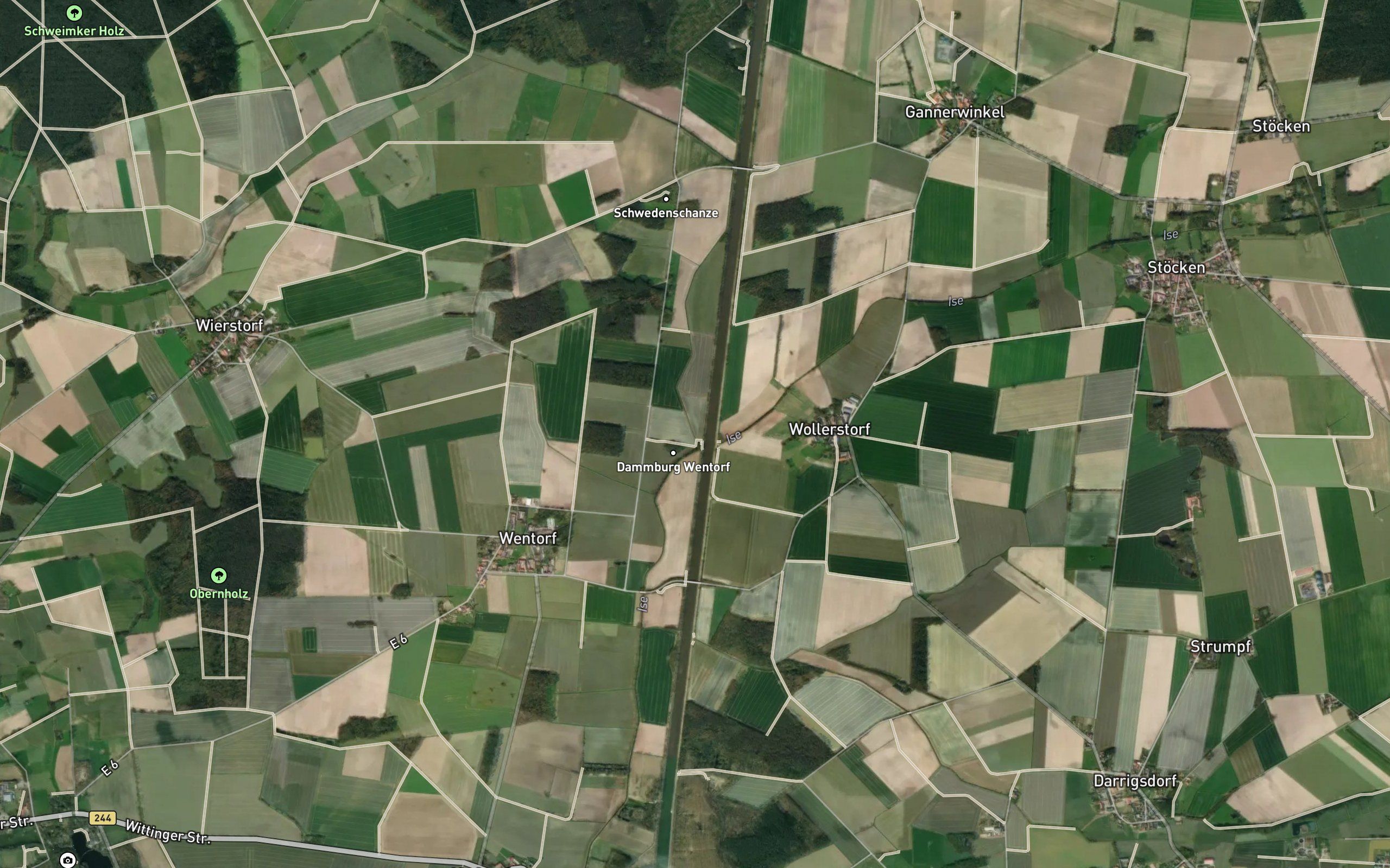 Gosebach
