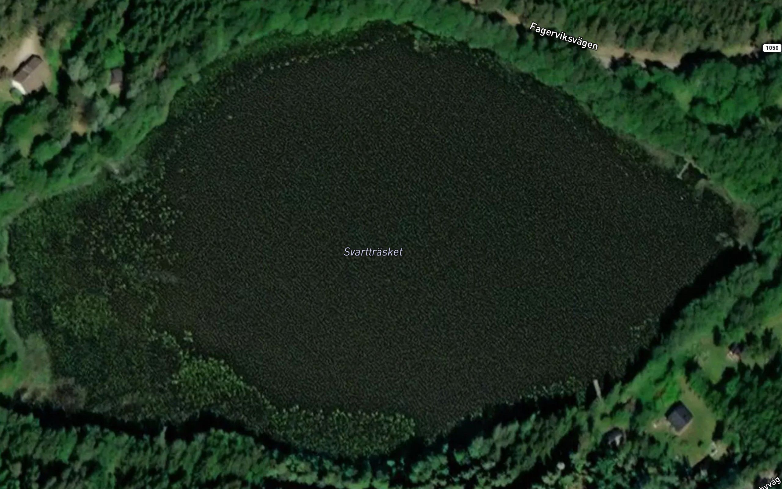 Svarttrasket