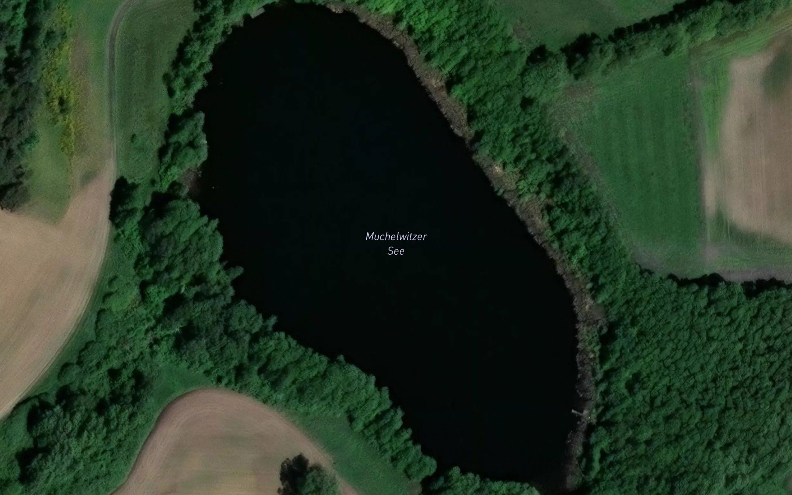 Muchelwitzer See