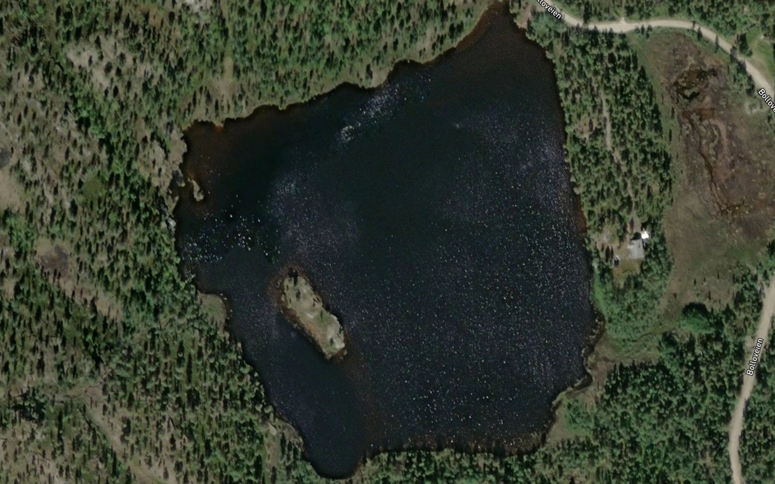 Skogstuevatnet