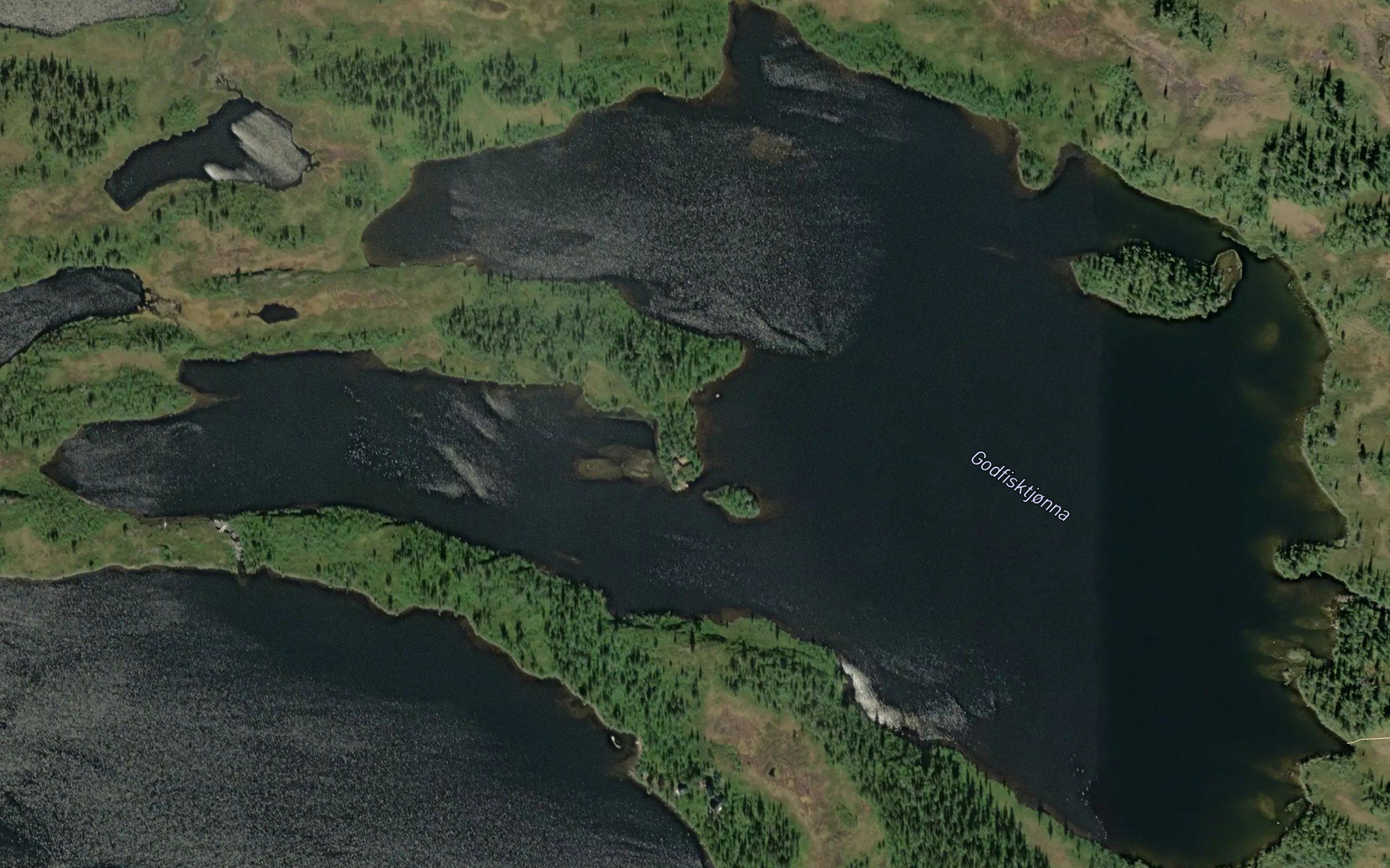 Godfisktjorna
