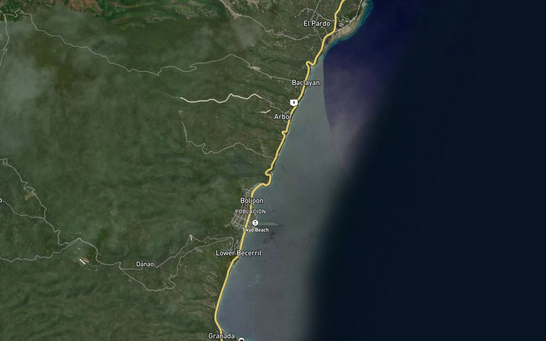 Satellite map of the Ili River