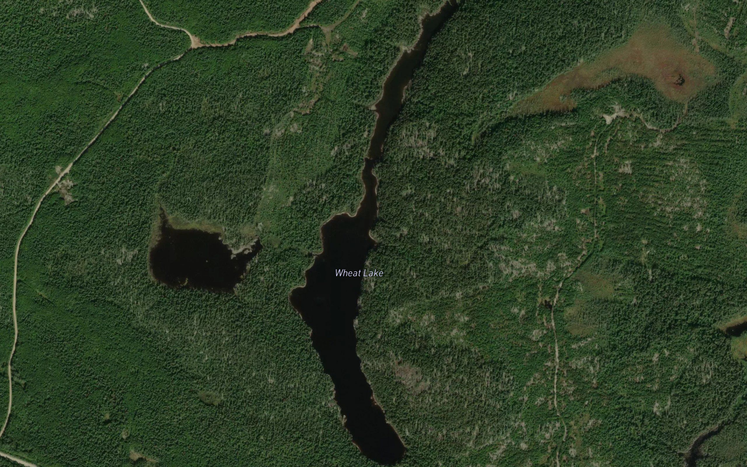 Wheat Lake