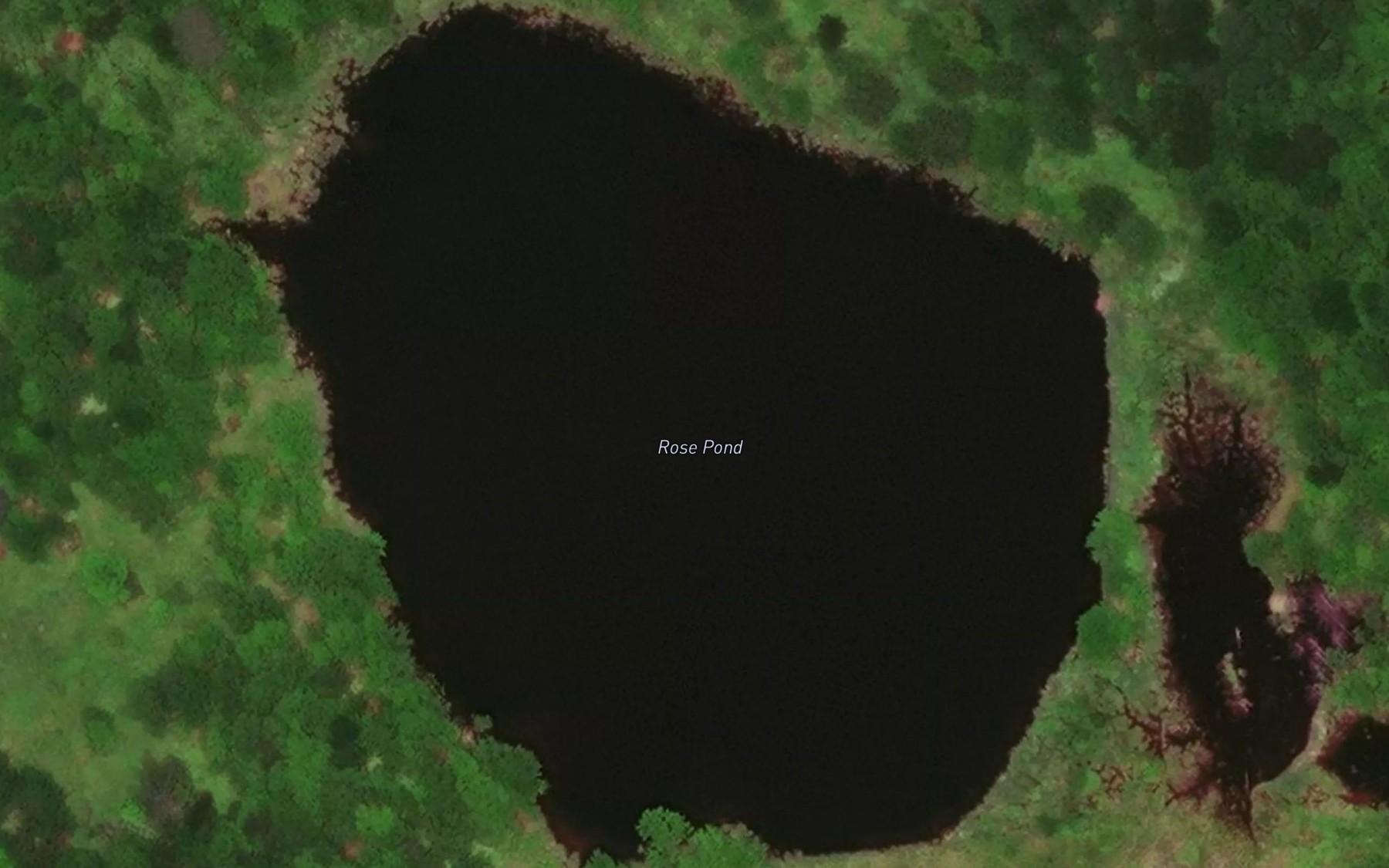Satellite map of the Rose Pond
