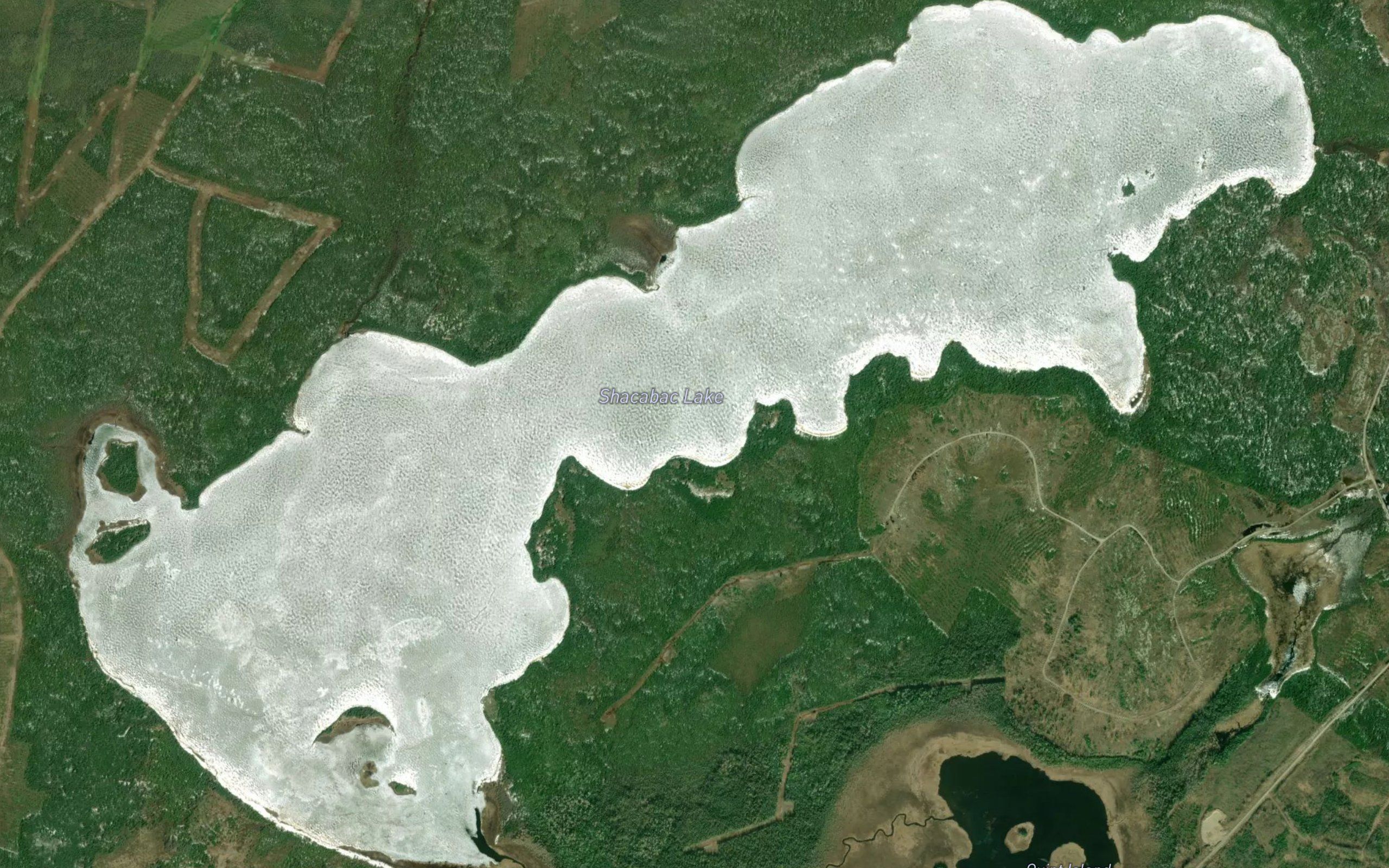 Shacabac Lake