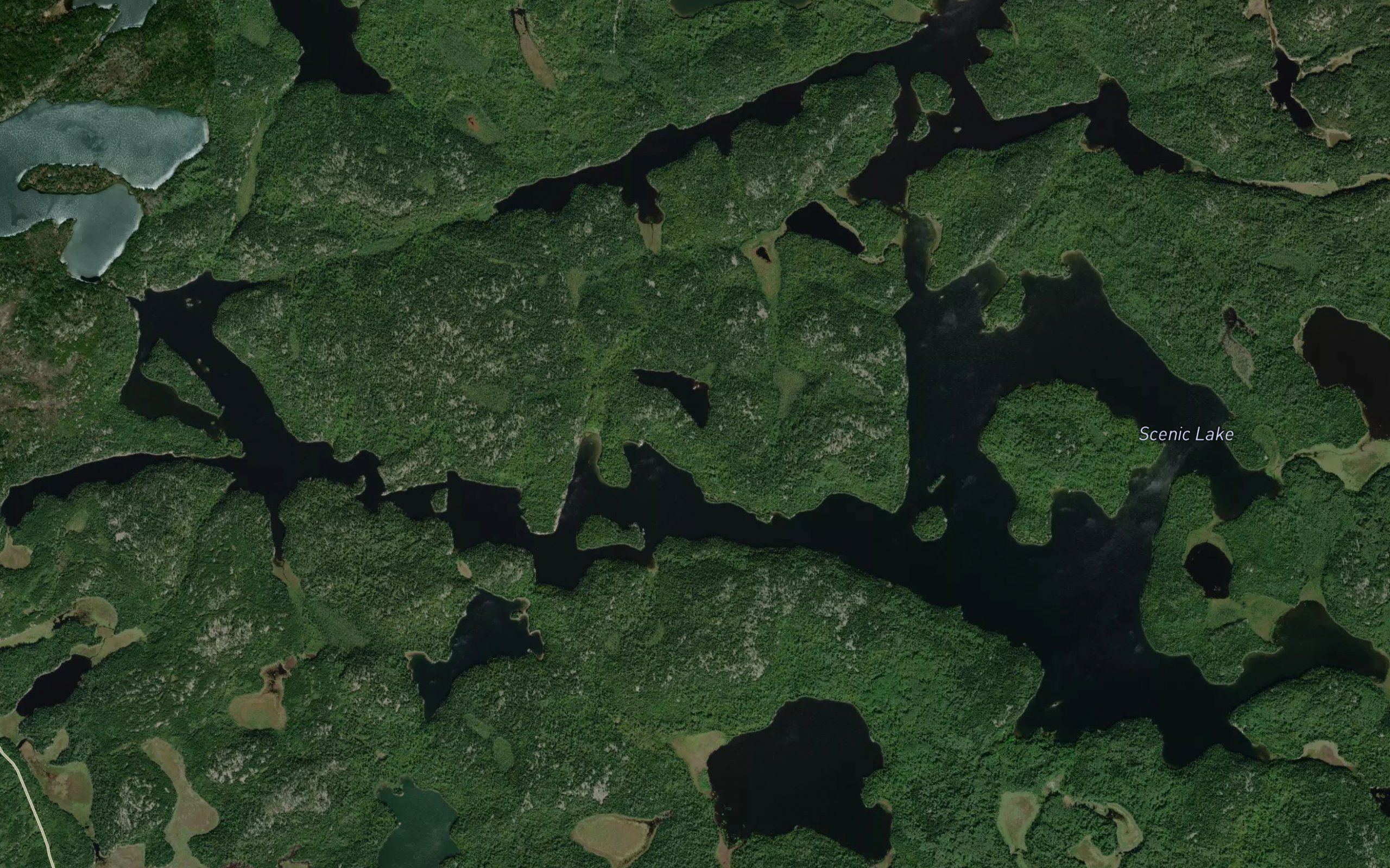 Scenic Lake