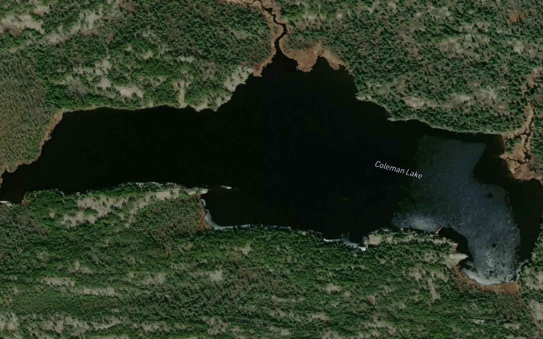 Satellite map of the Coleman Lake