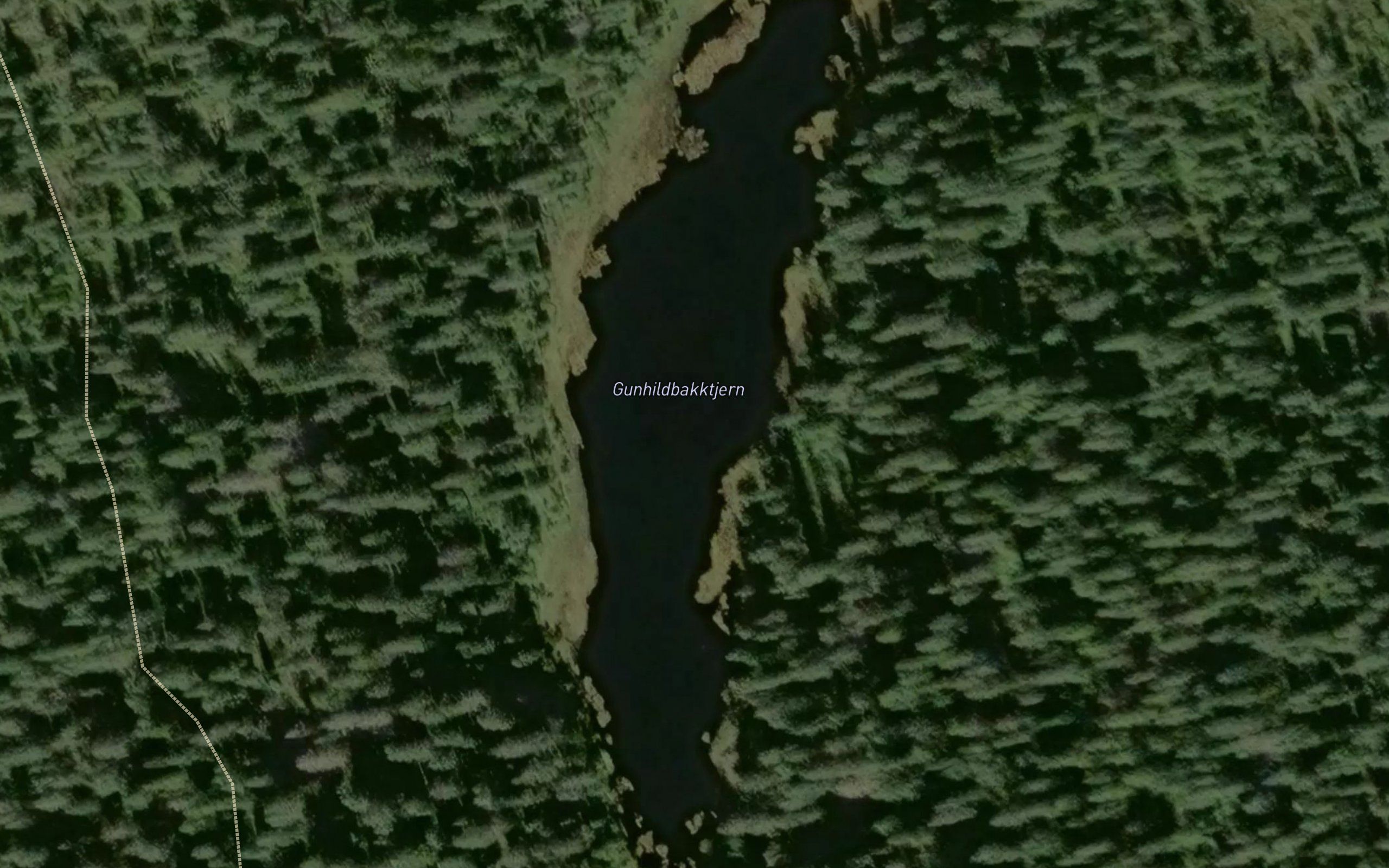 Gunhildbakktjern