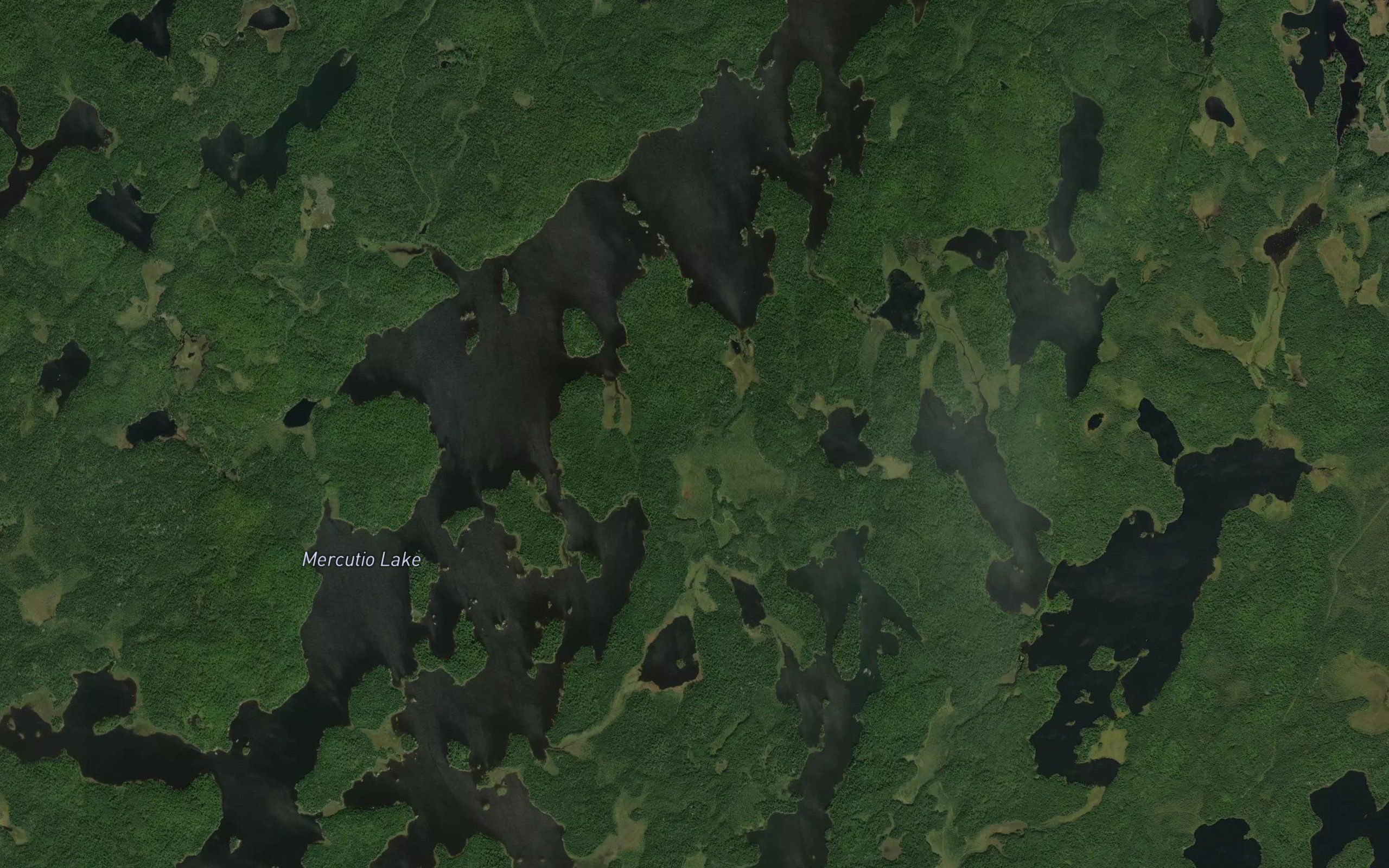 North Bay
