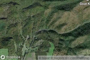 Little Beartown Branch