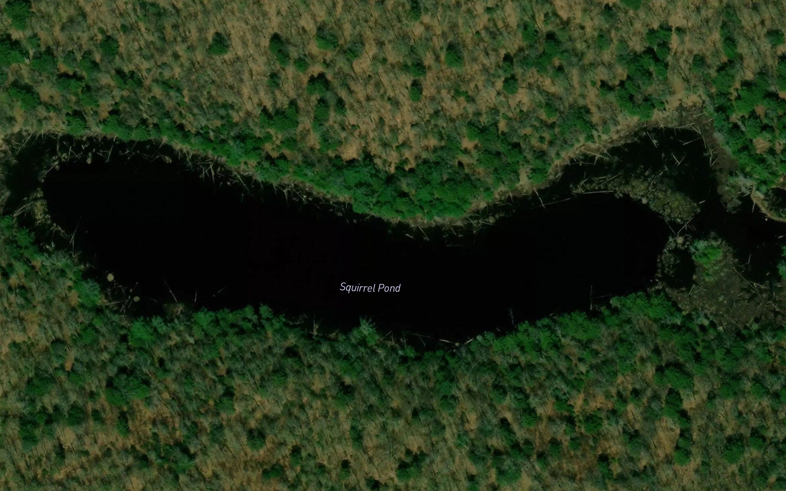 Squirrel Pond
