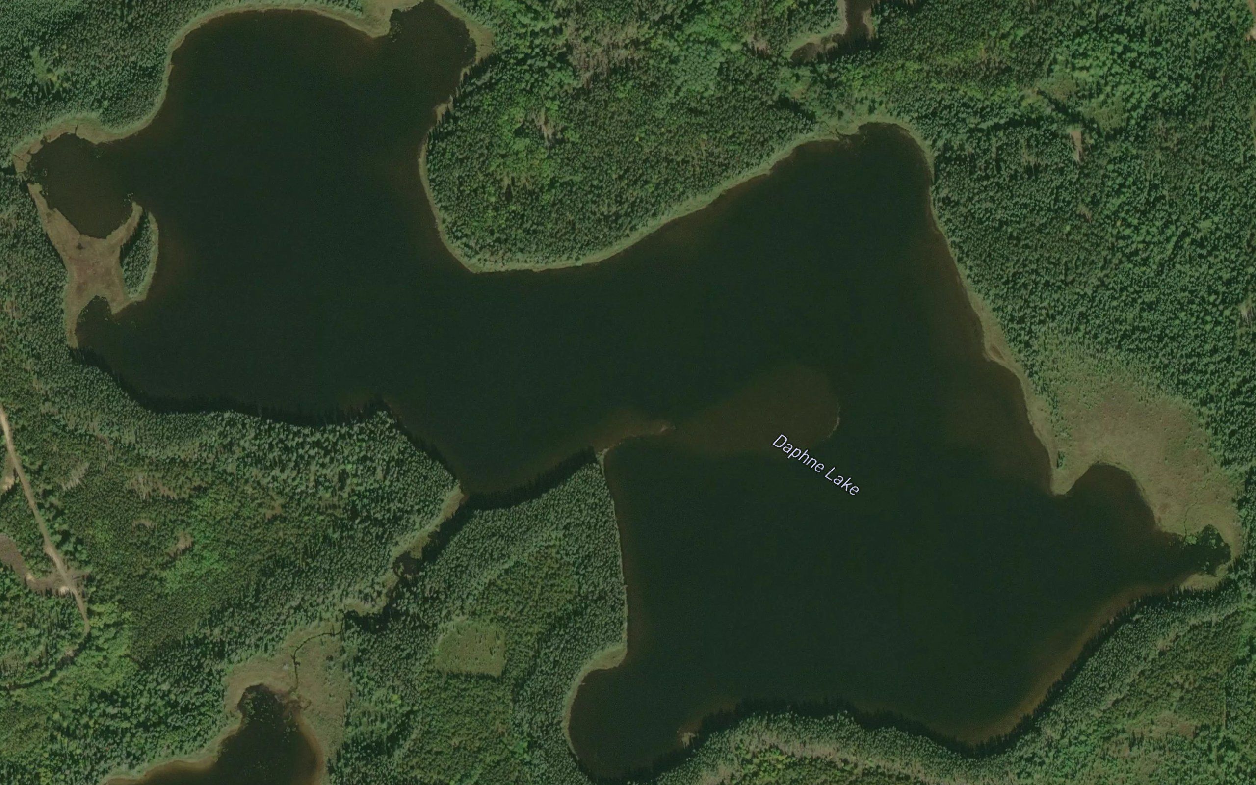 Daphne Lake
