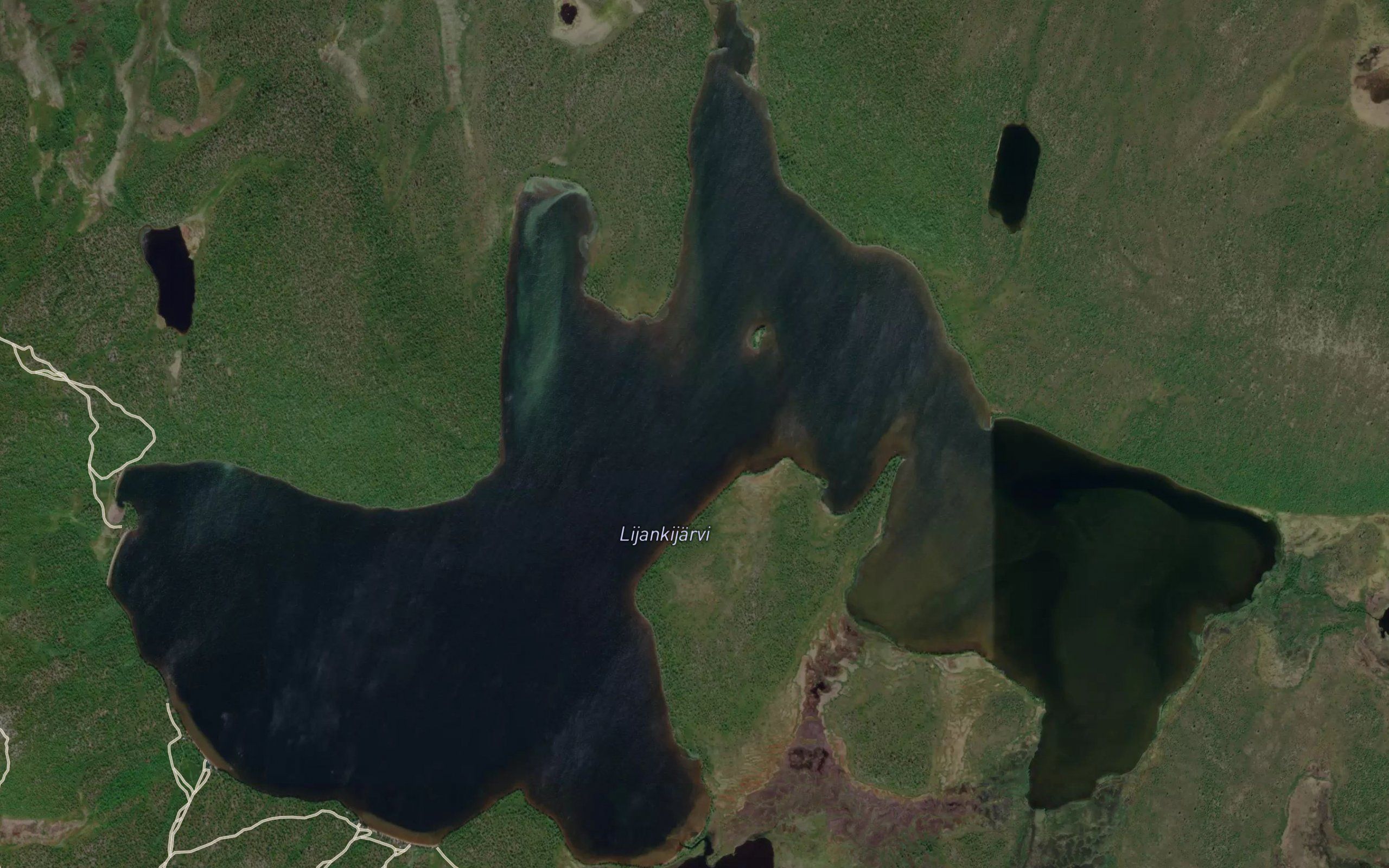 Liedasjavri