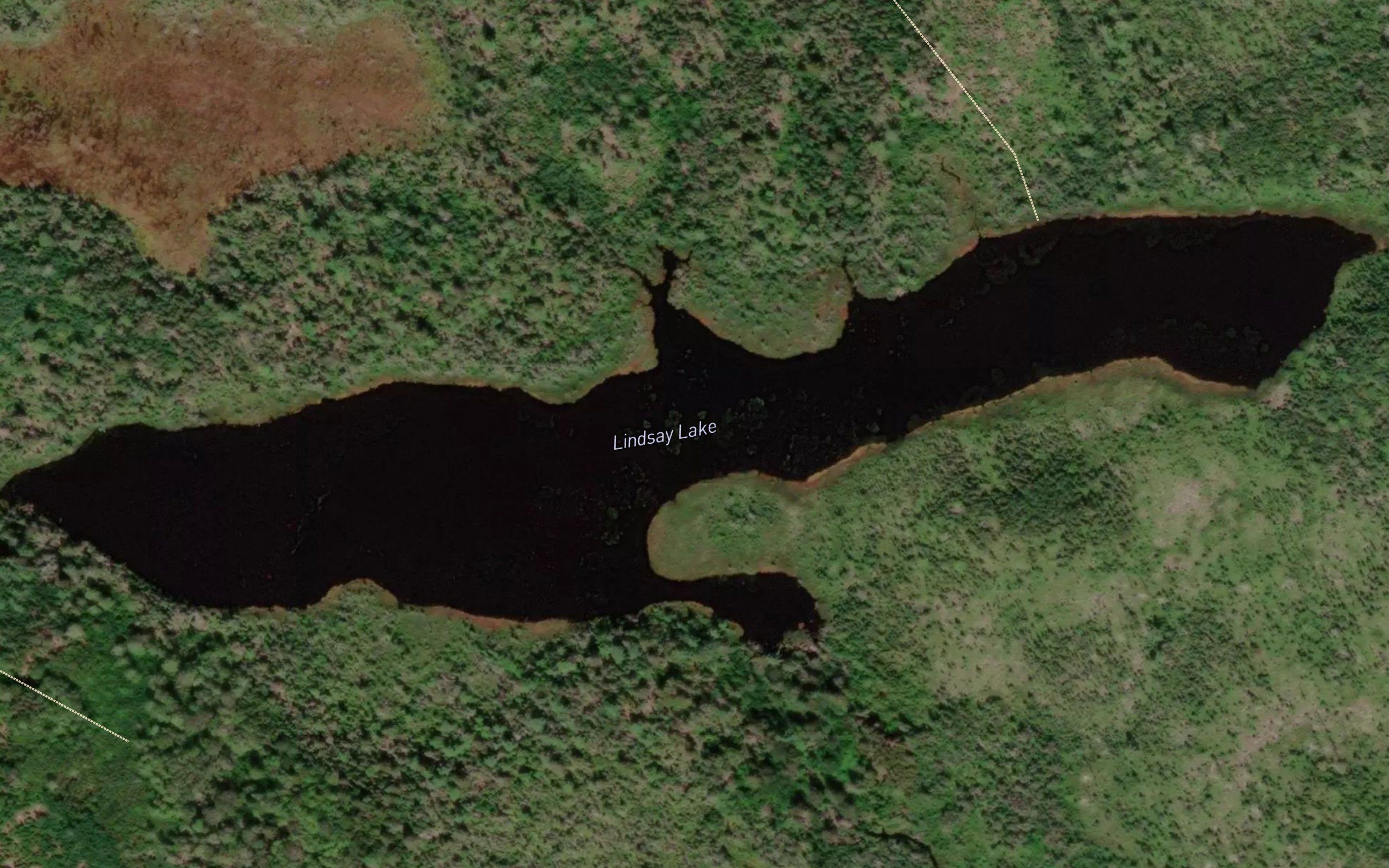 Lindsay Lake
