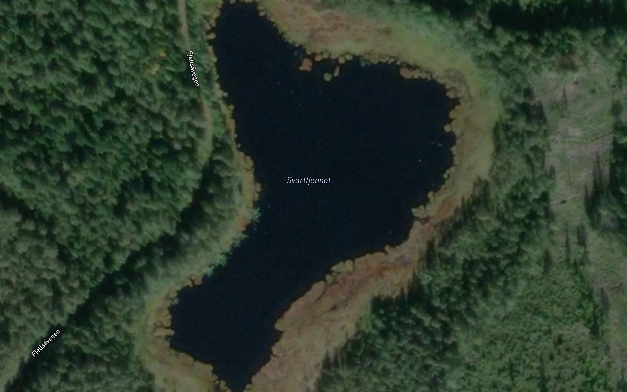 Svarttjernet