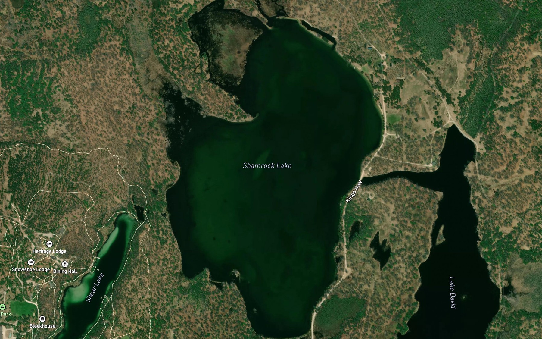 Satellite map of the Shamrock Lake