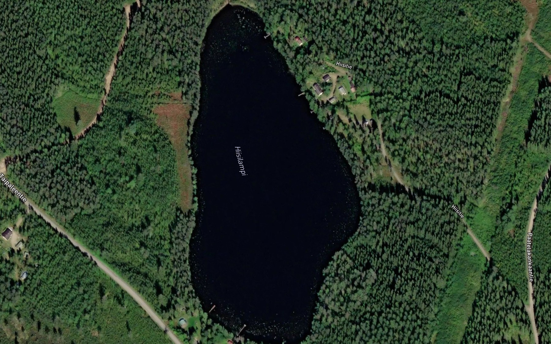 Satellite map of the Hiisilampi