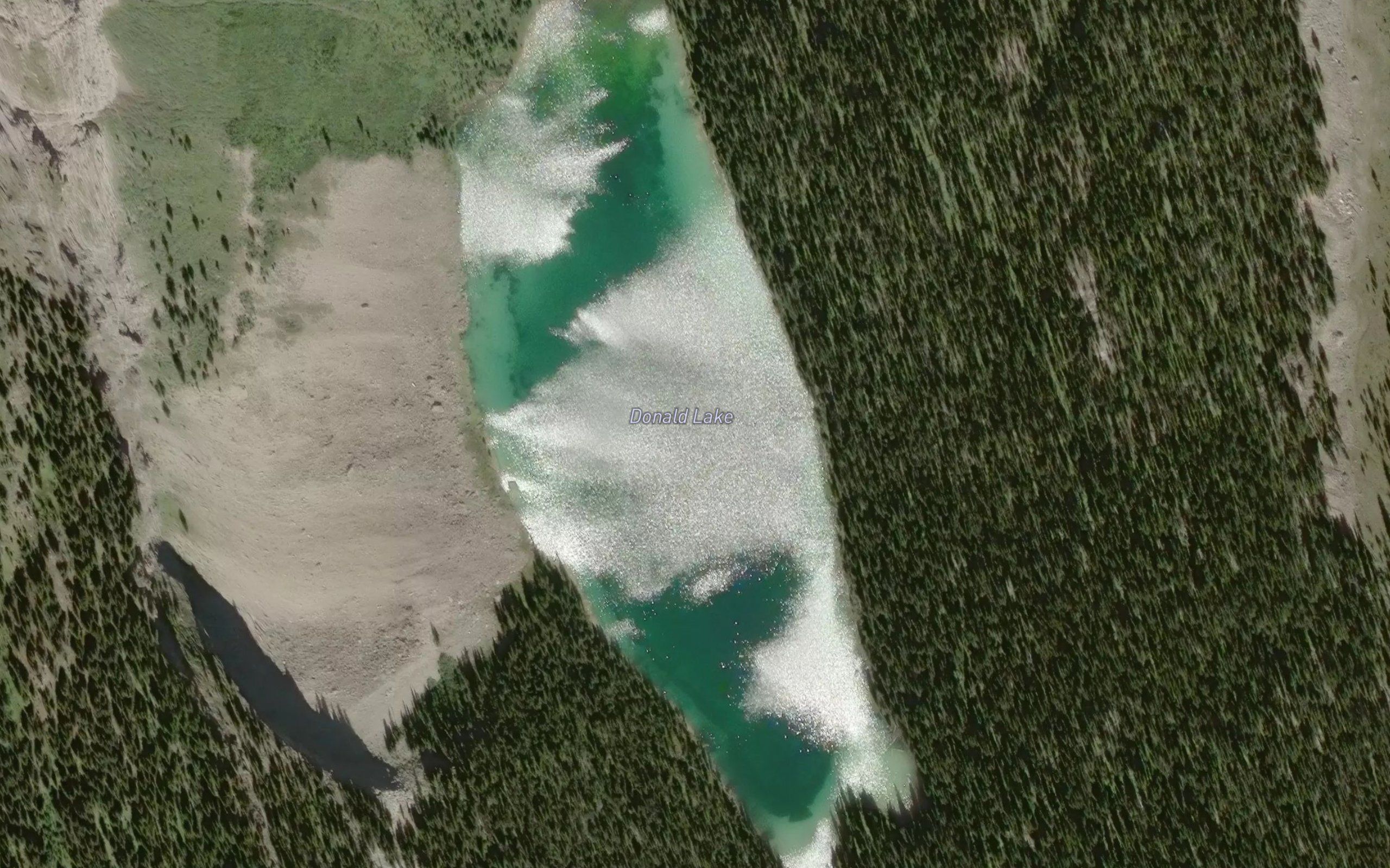 Donald Lake