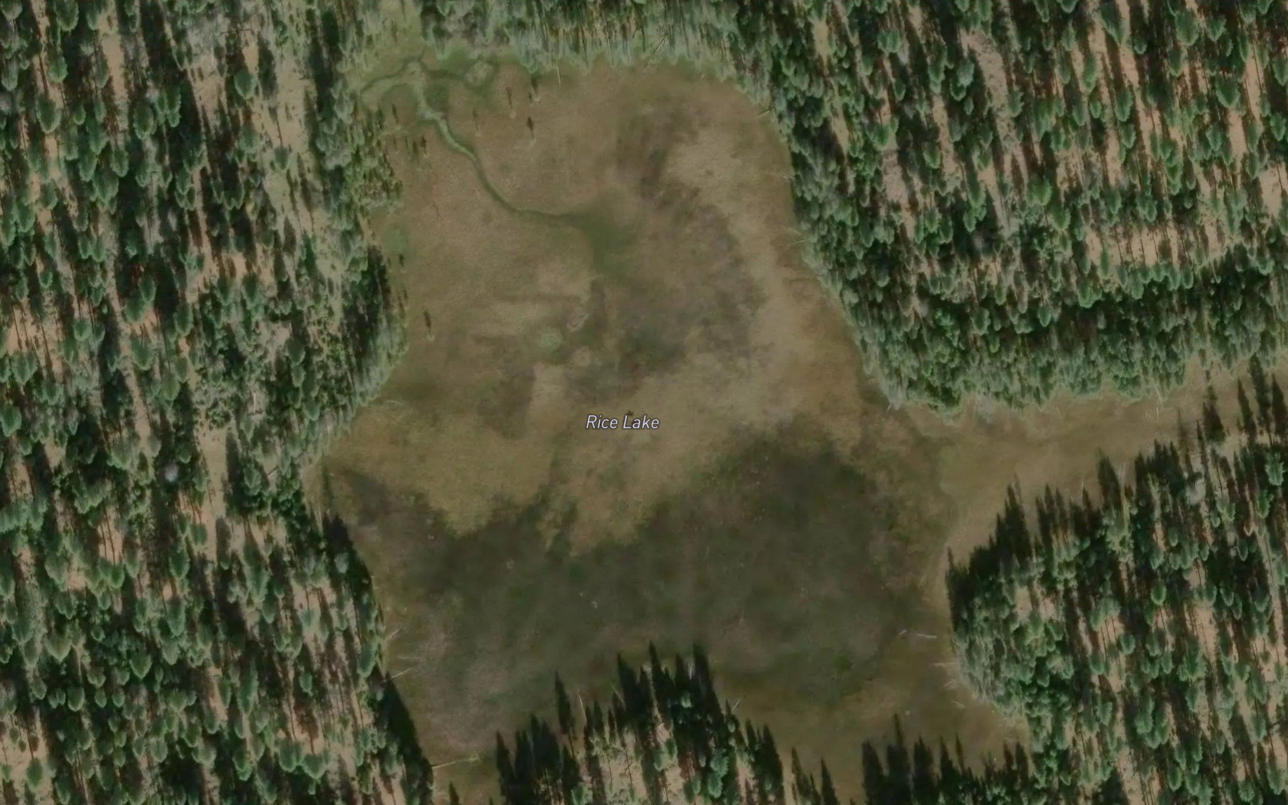 Rice Lake