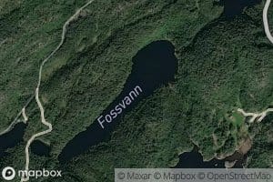Fossvann