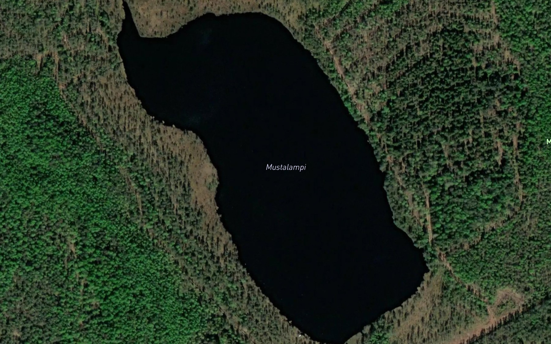 Satellite map of the Mustalampi