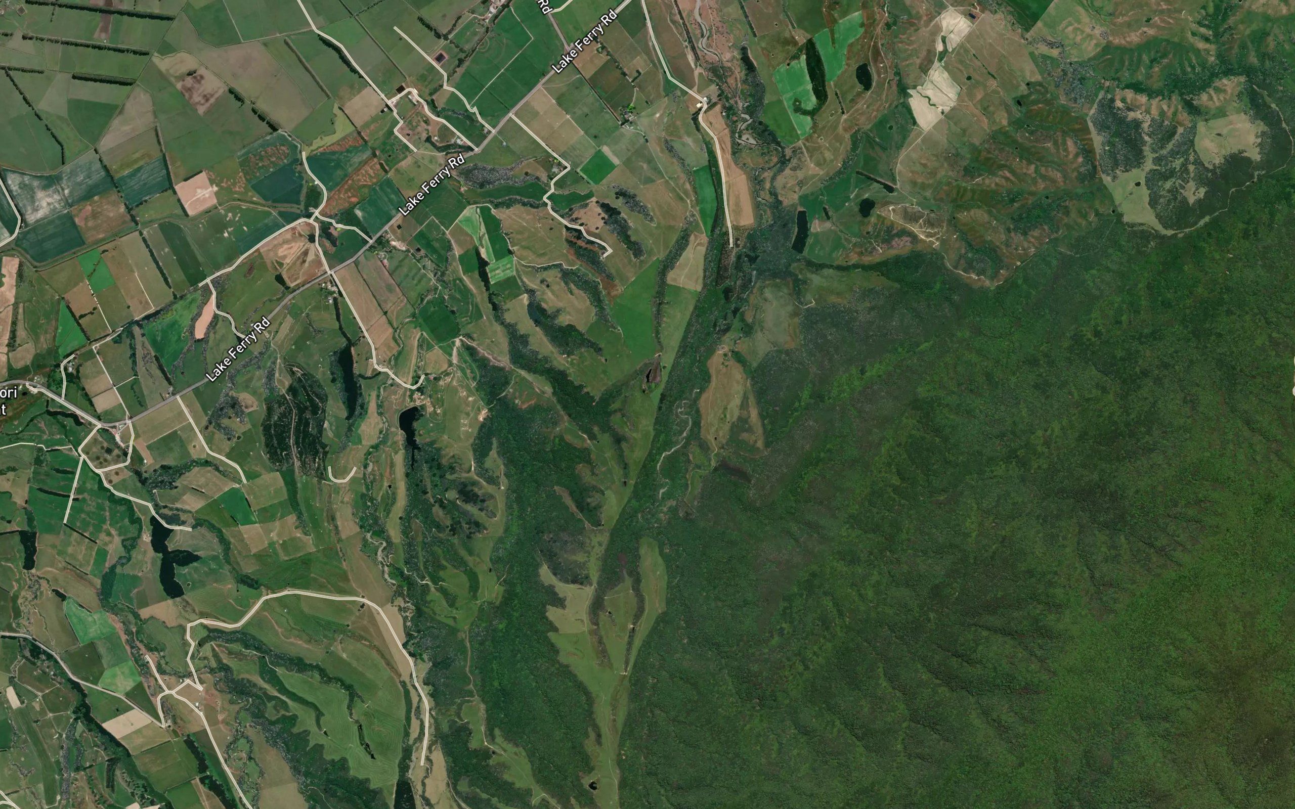 Waihora Stream