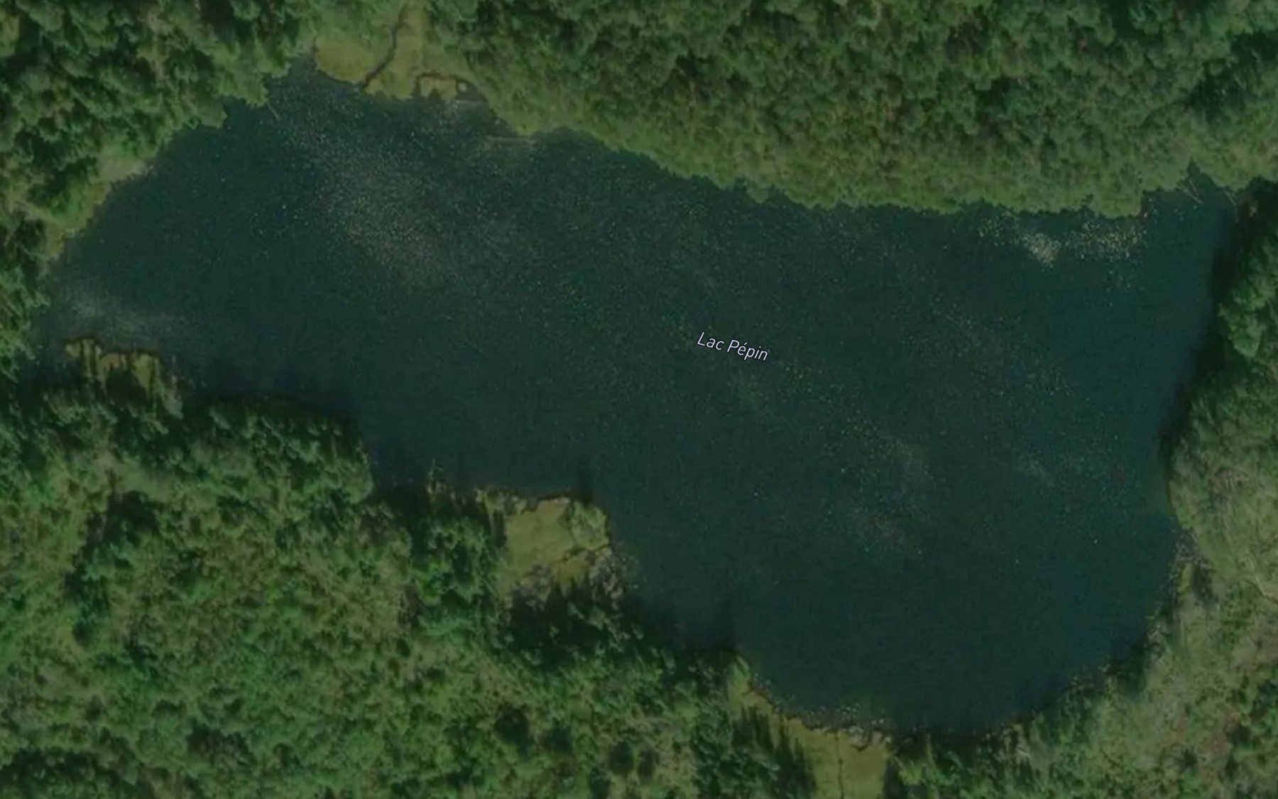 Satellite map of the Lac Pepin