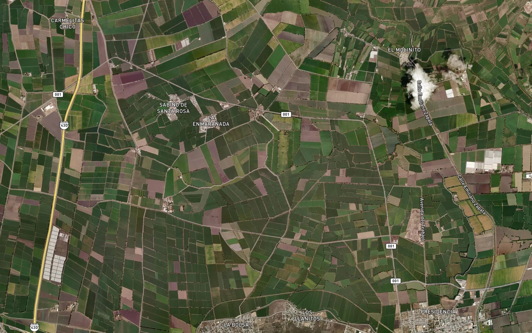 Satellite map of the Brazo