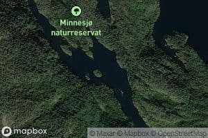 Lille Minnesjo