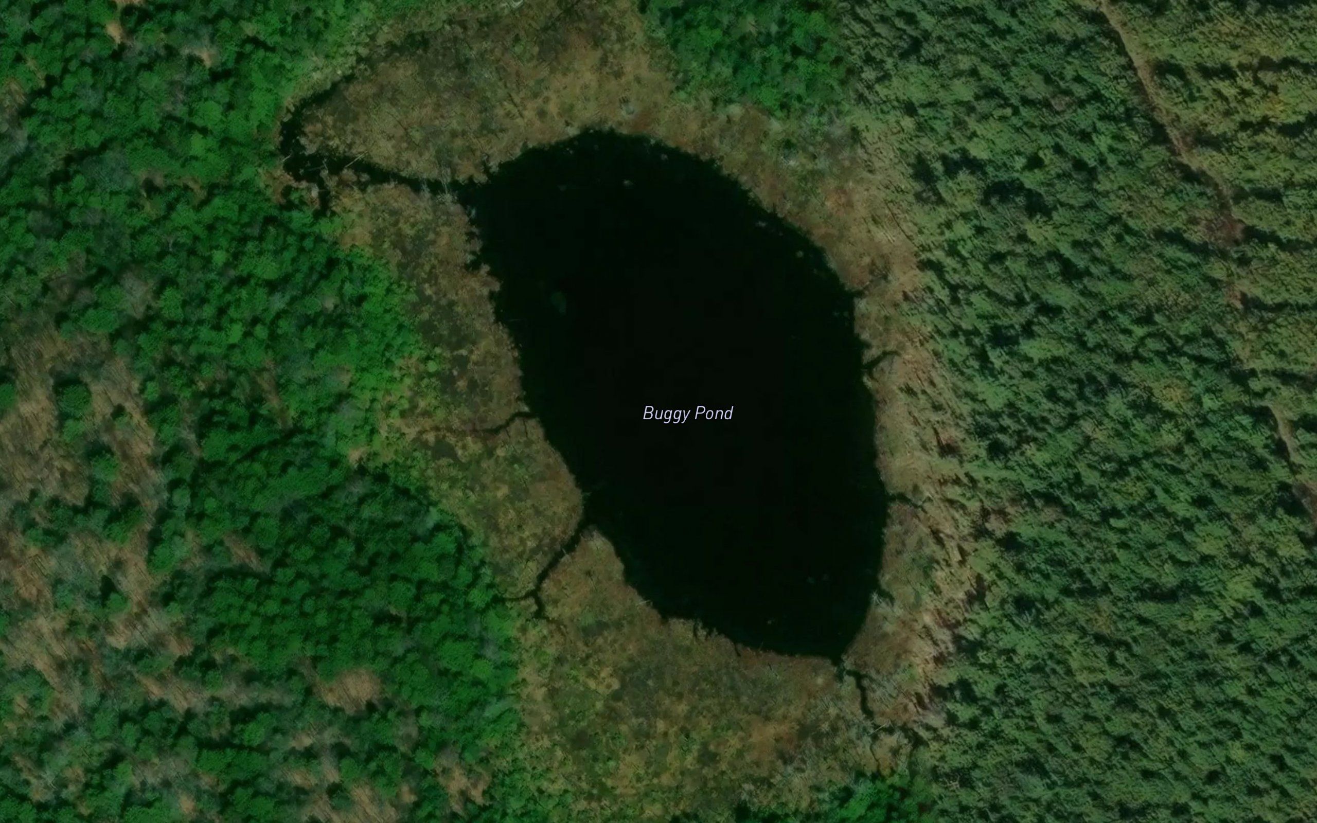 Buggy Pond