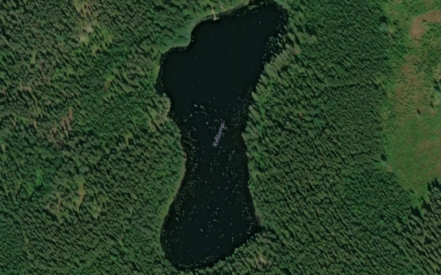 Satellite map of the Riihilampi