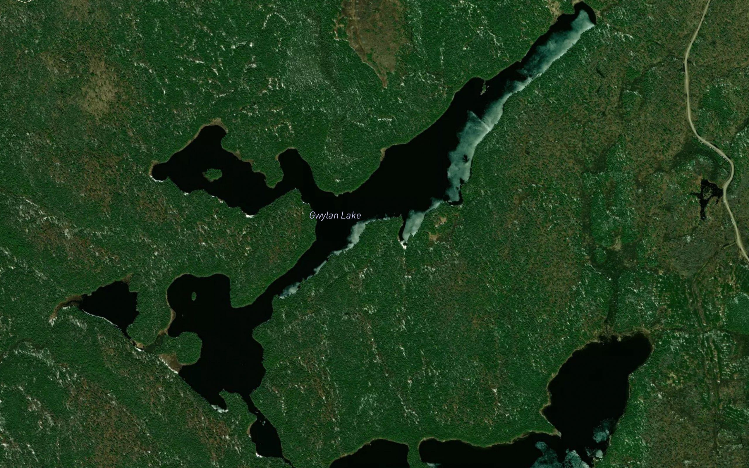 Gwylan Lake