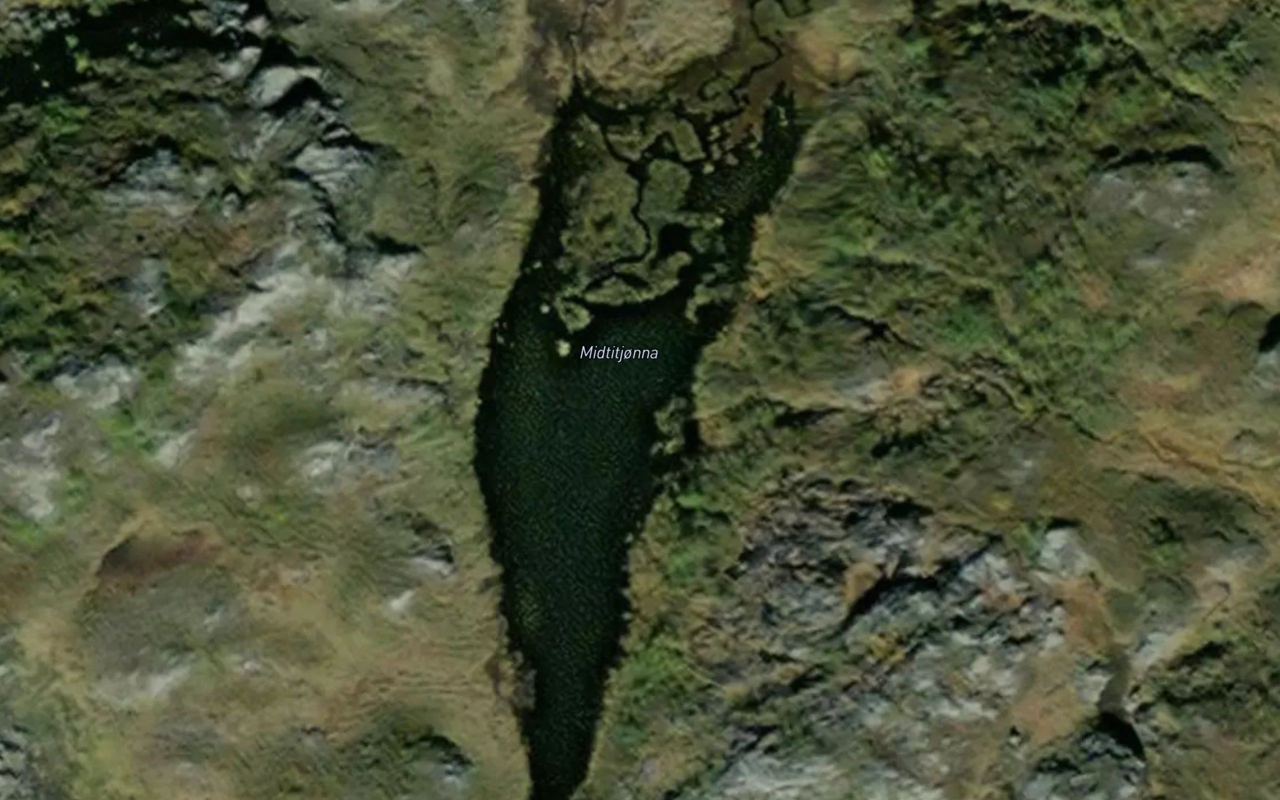 Midtitjorna