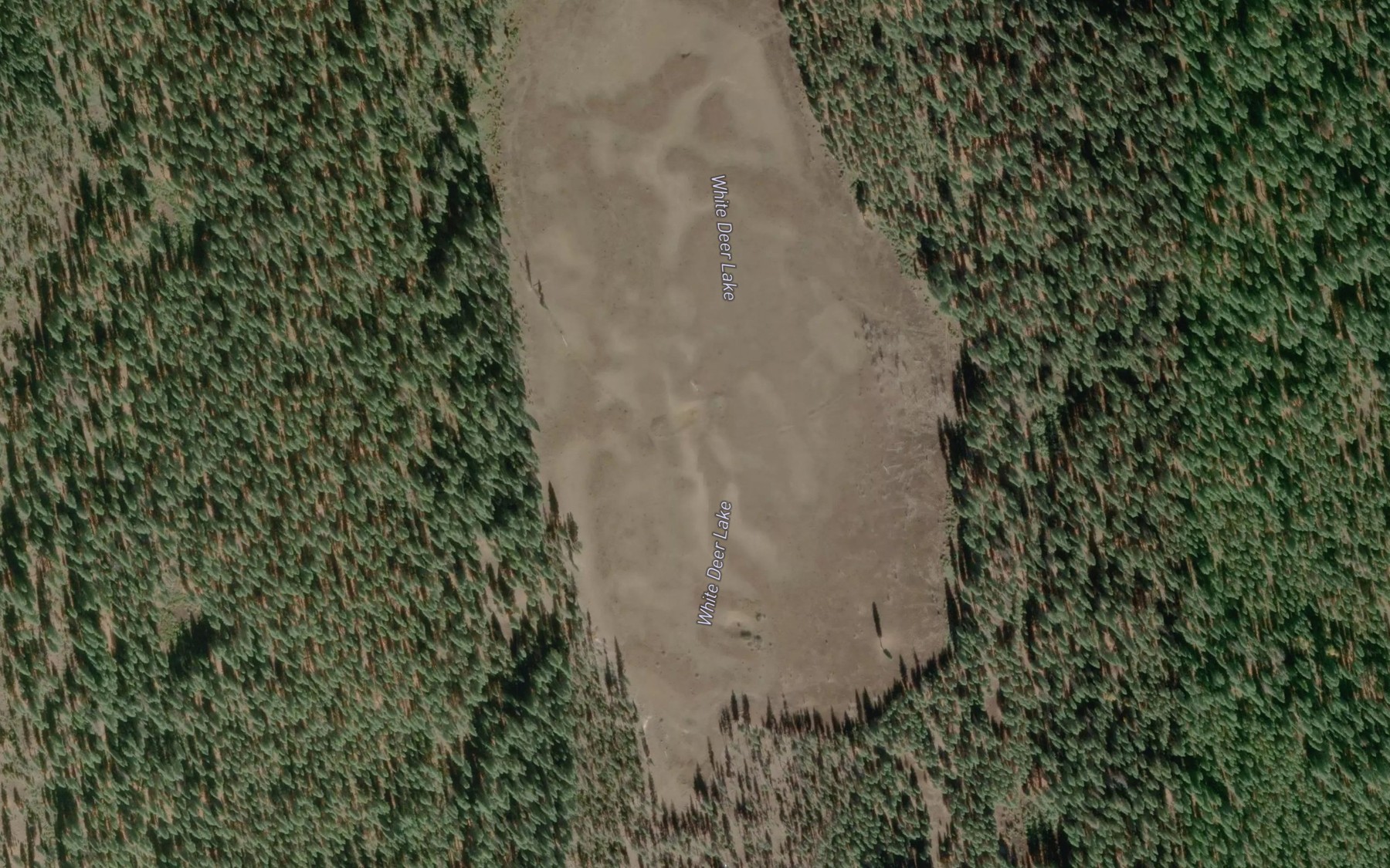 Satellite map of the White Deer Lake