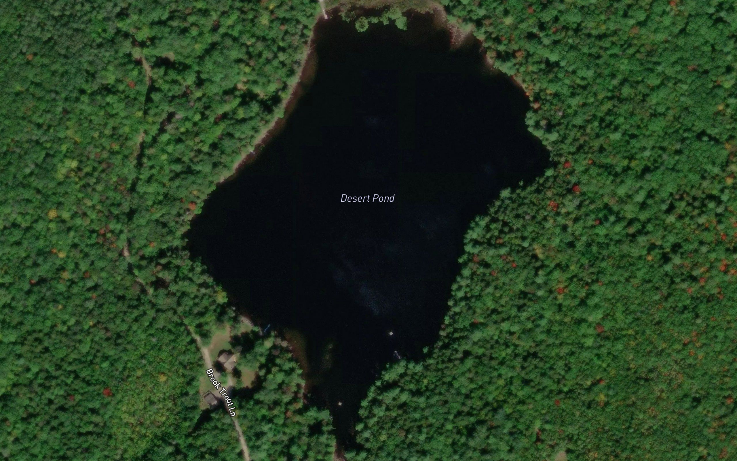 Desert Pond