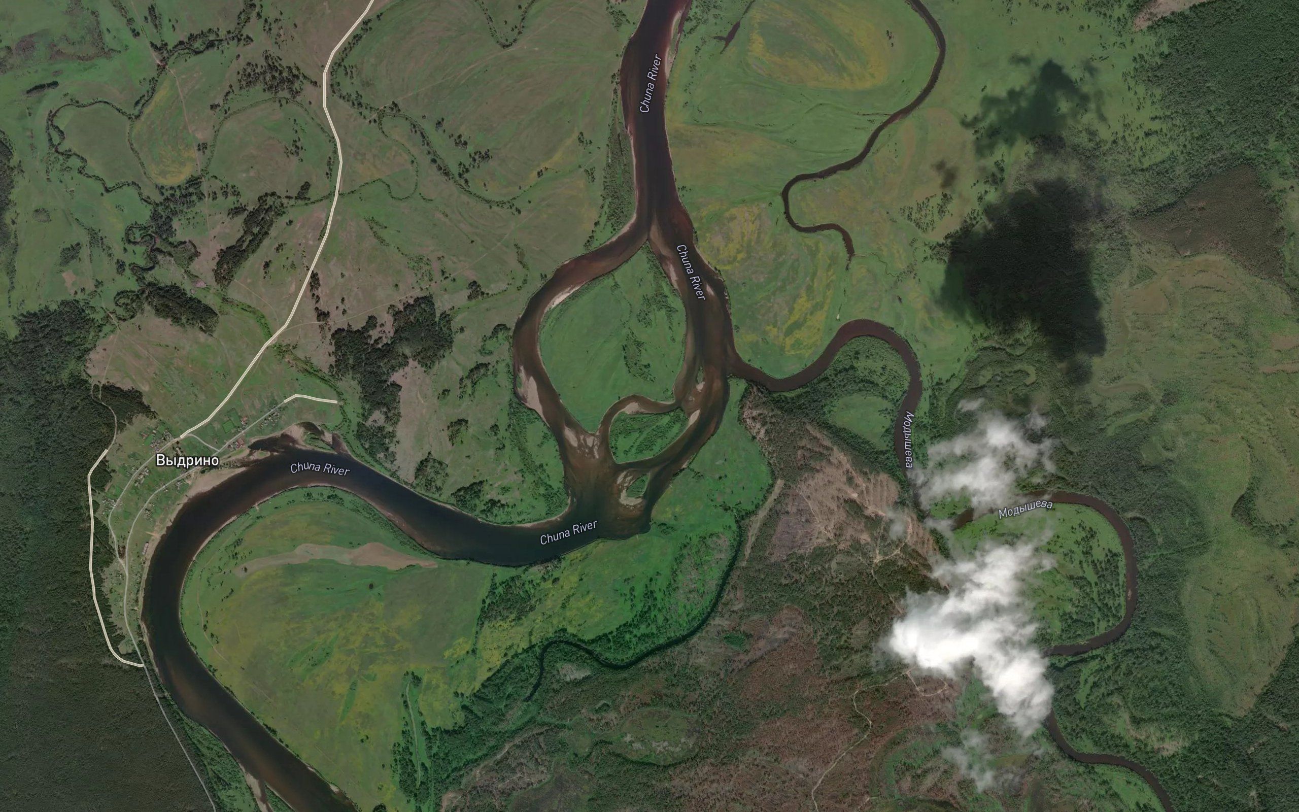 Modysheva