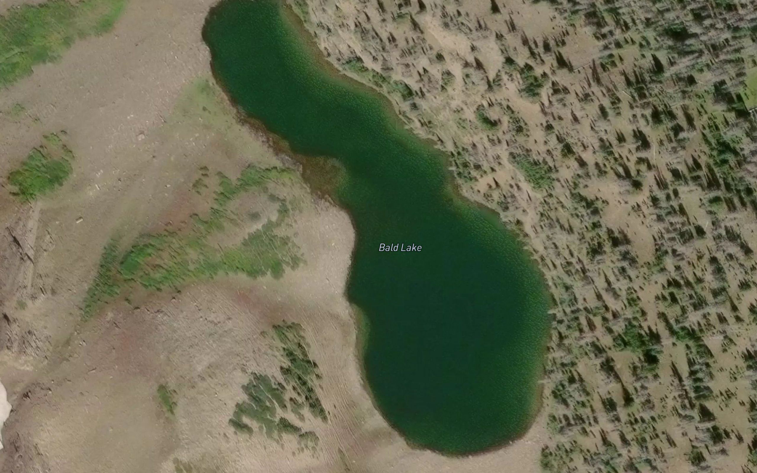 Bald Lake